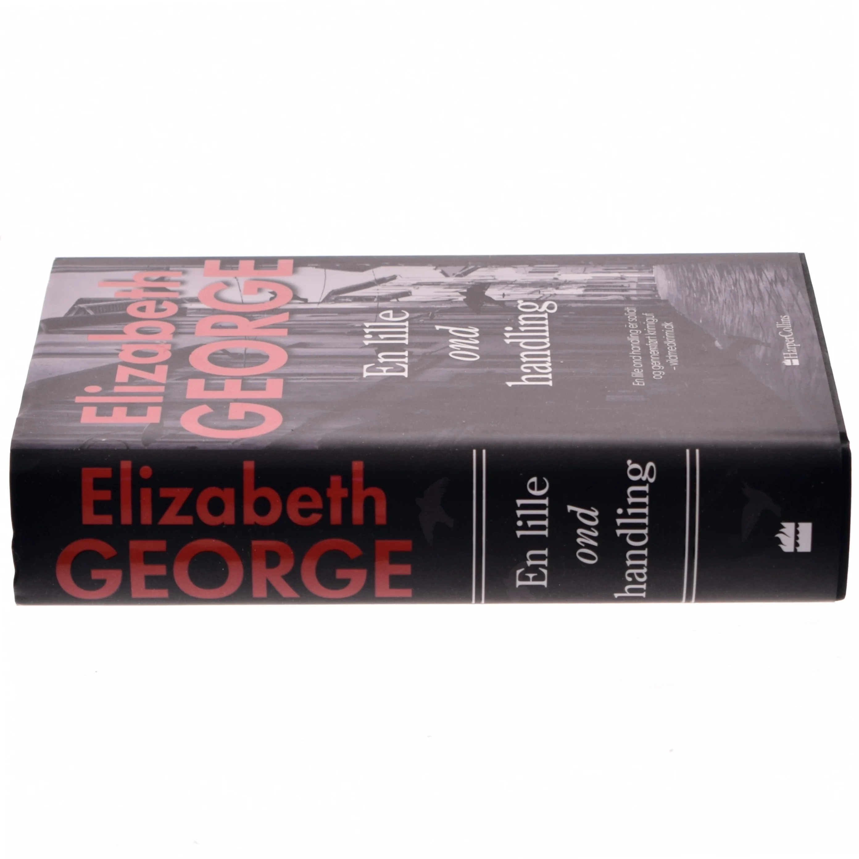 En lille ond handling af Elizabeth George (Bog)