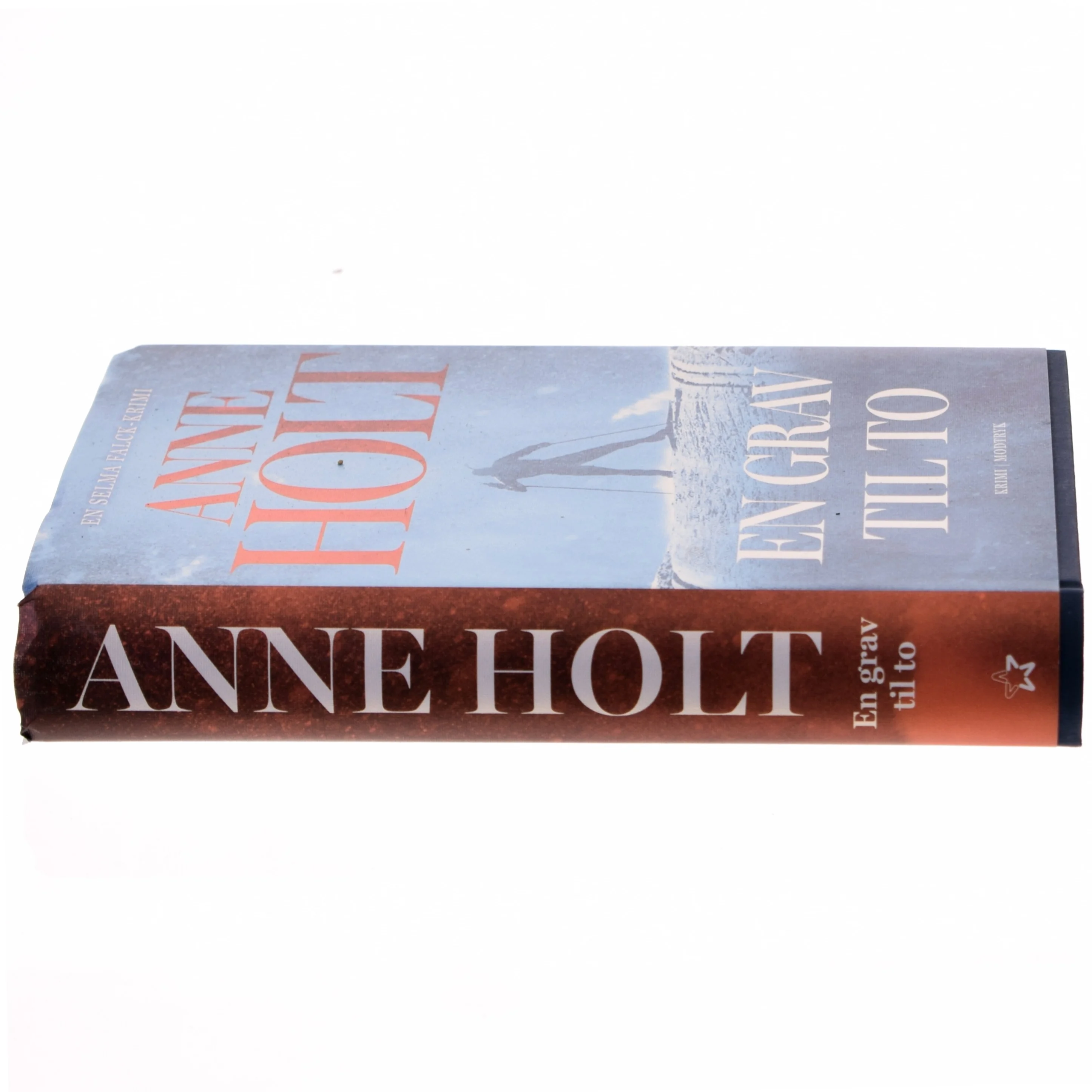 En grav til to : Selma Falcks første sag : kriminalroman af Anne Holt (f. 1958-11-16) (Bog)