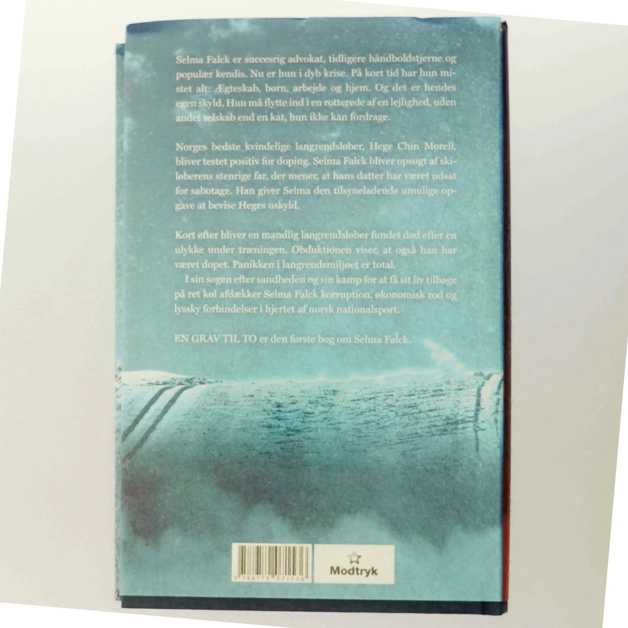 En grav til to : Selma Falcks første sag : kriminalroman af Anne Holt (f. 1958-11-16) (Bog)