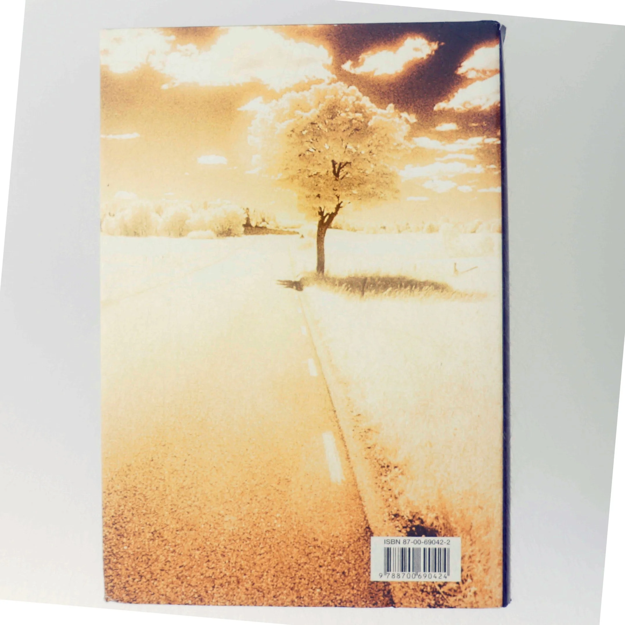 Lewis rejse : roman af Per Olov Enquist (Bog)