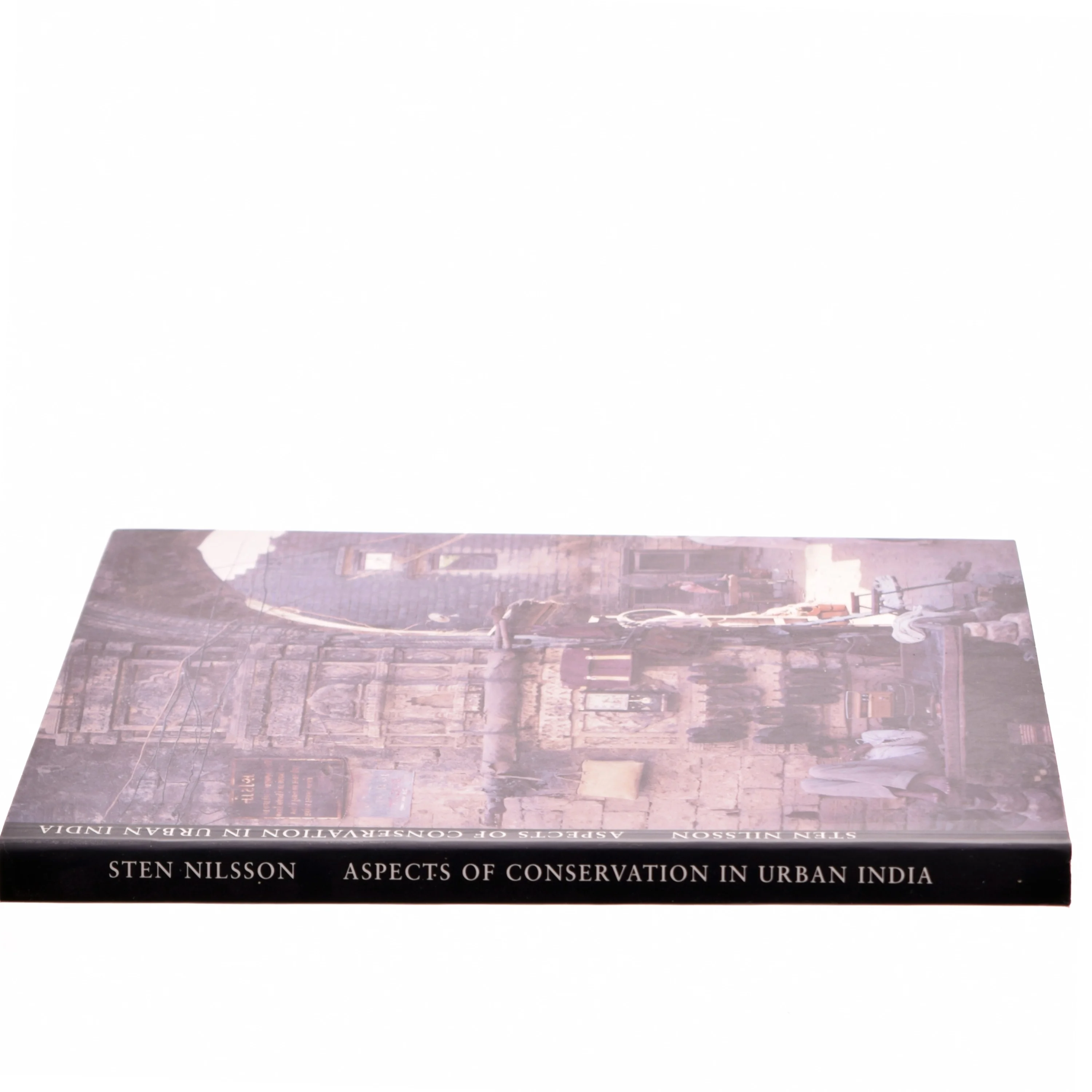 Aspects of Conservation in Urban India by Sten Nilsson (Editor)