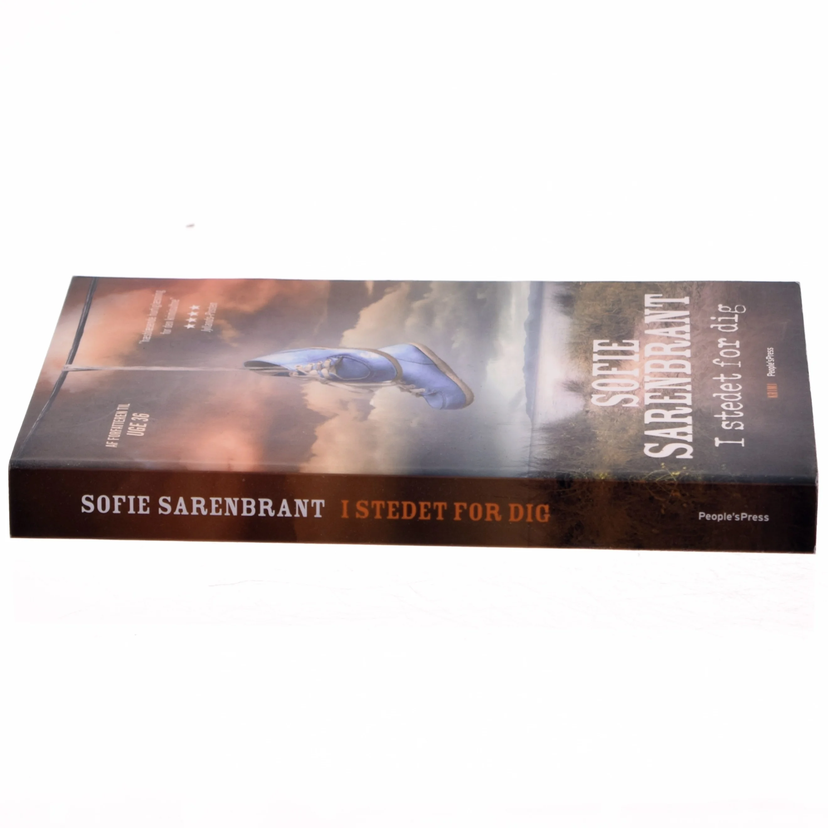 I stedet for dig : krimi af Sofie Sarenbrant (Bog)