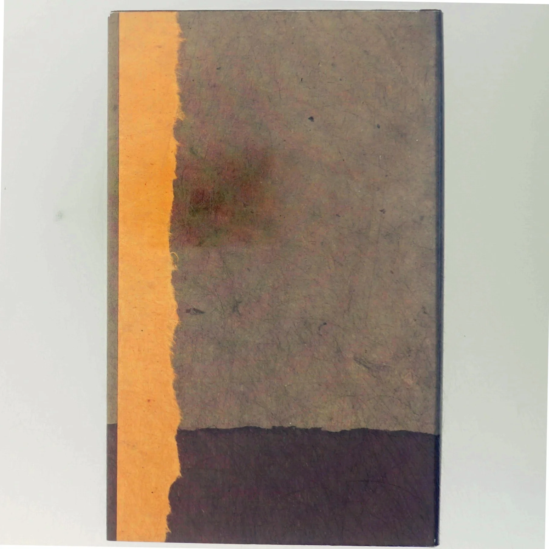 Roman 'Den nærmeste familie' af Joanna Trollope