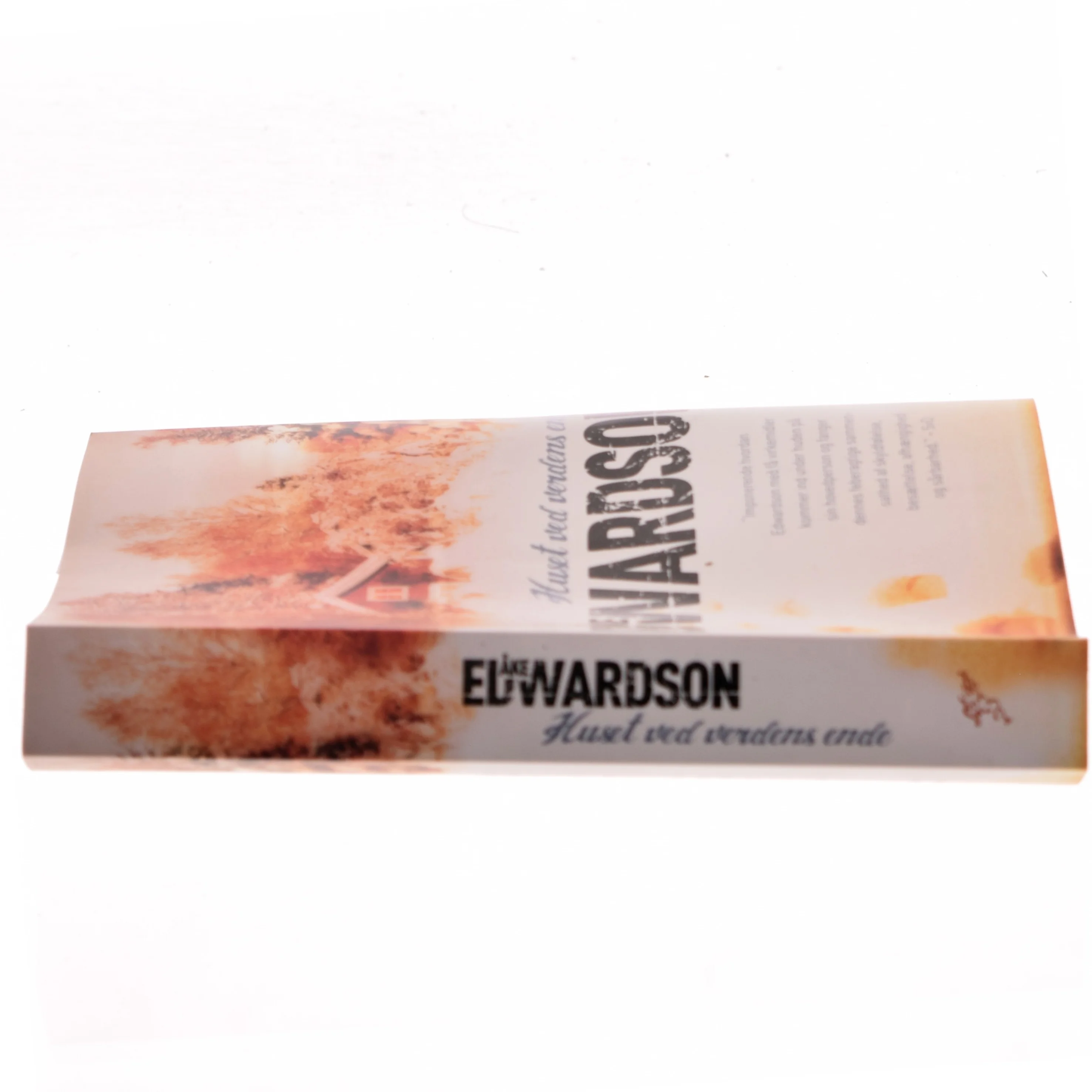 Huset ved verdens ende af Åke Edwardson (Bog)