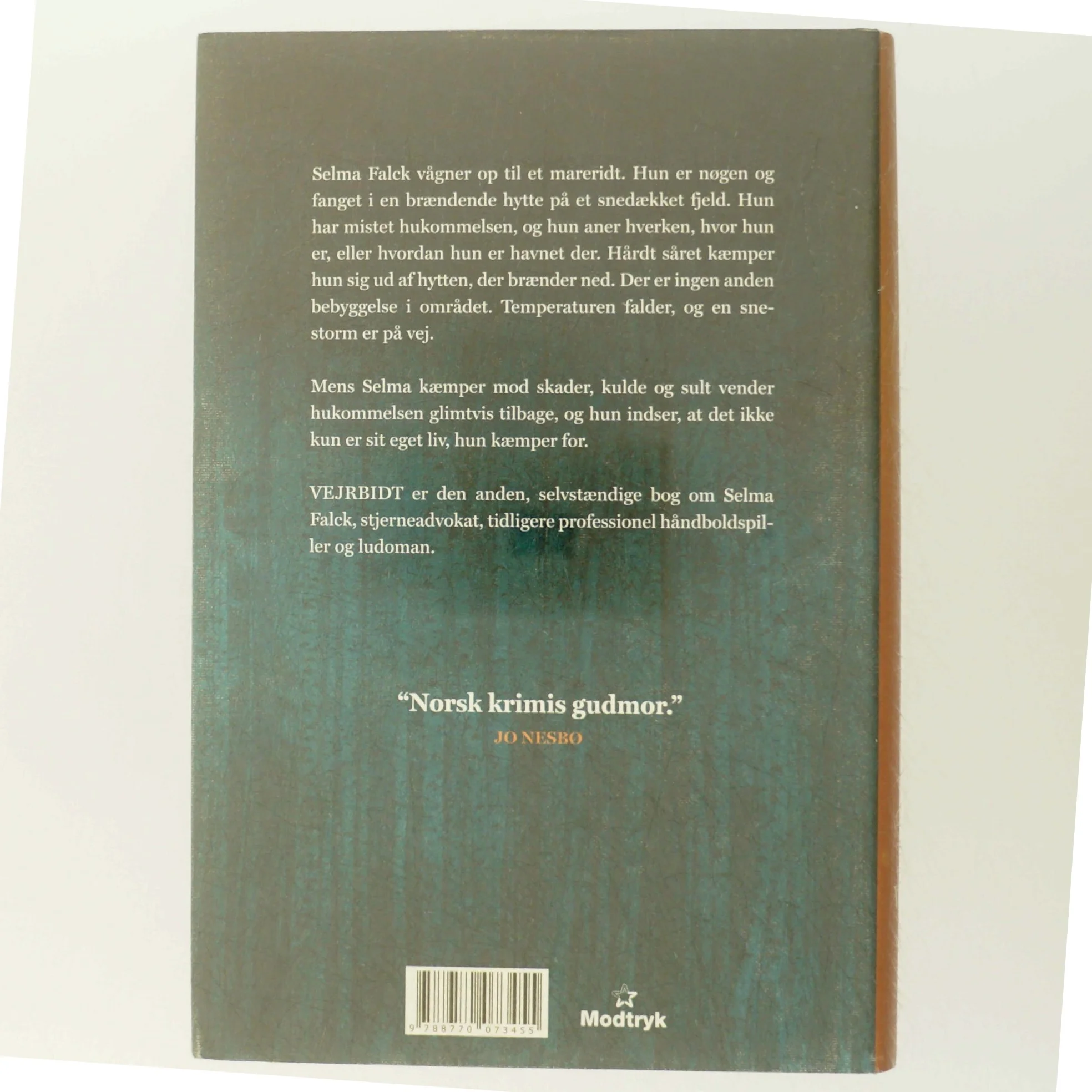 'Vejrbidt: Selma Falcks anden store sag' af Anne Holt (f. 1958-11-16) (bog)