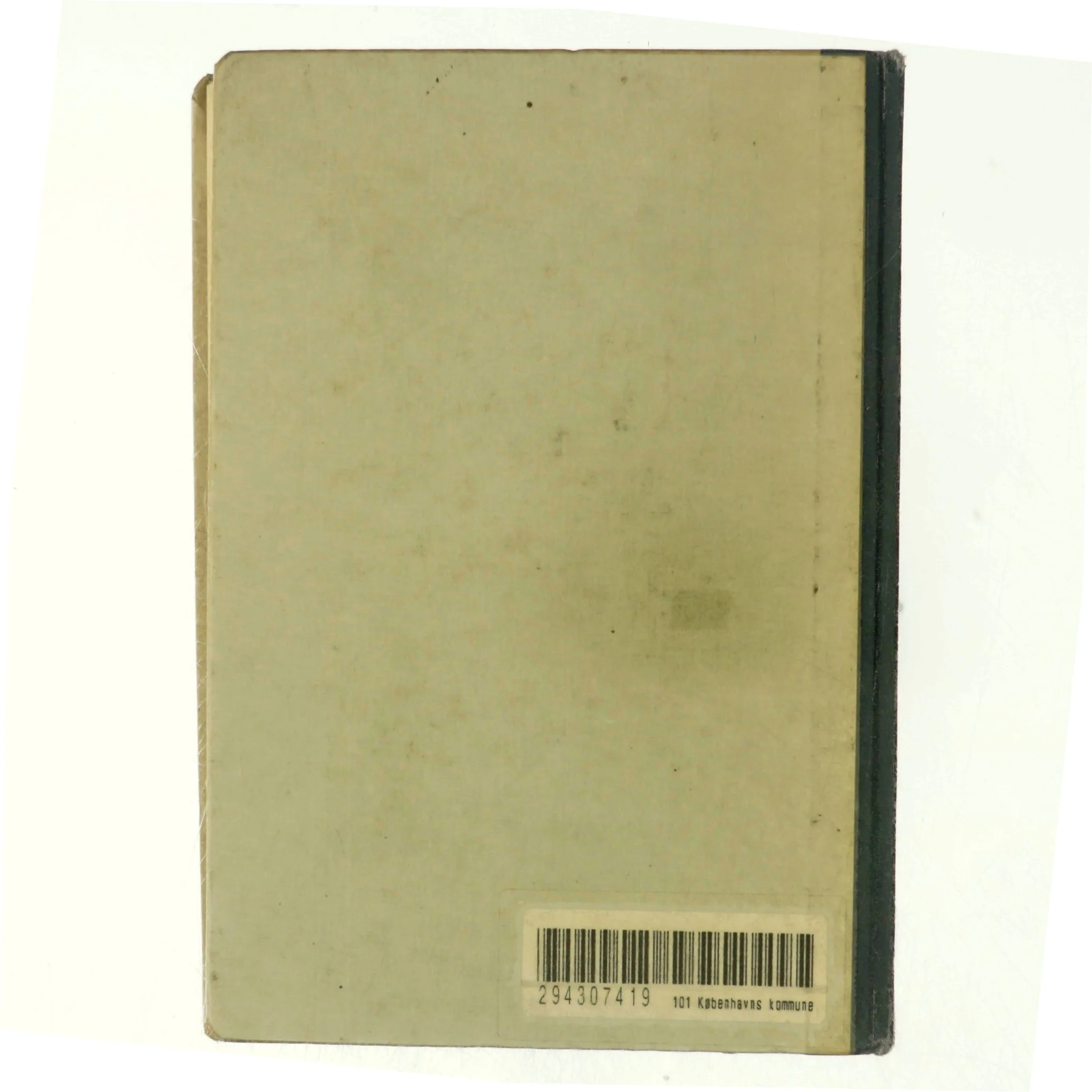 Firenzes ukronede konger af Johannes Lehman