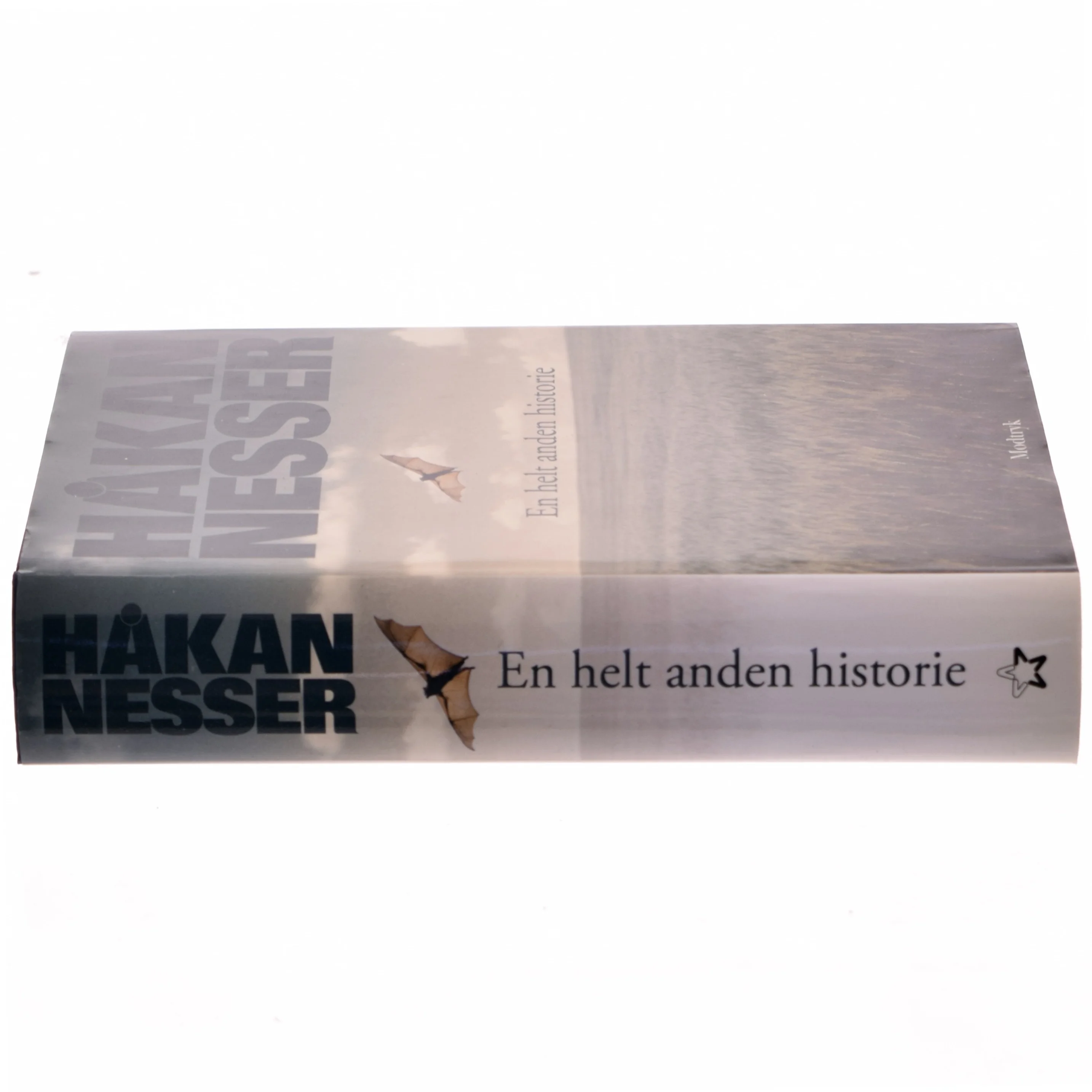 En helt anden historie af Håkan Nesser (Bog)