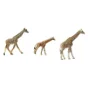 Giraffer fra Schleich Og Procon (str. 9 x 13 cm)