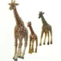 Giraffer fra Schleich Og Procon (str. 9 x 13 cm)