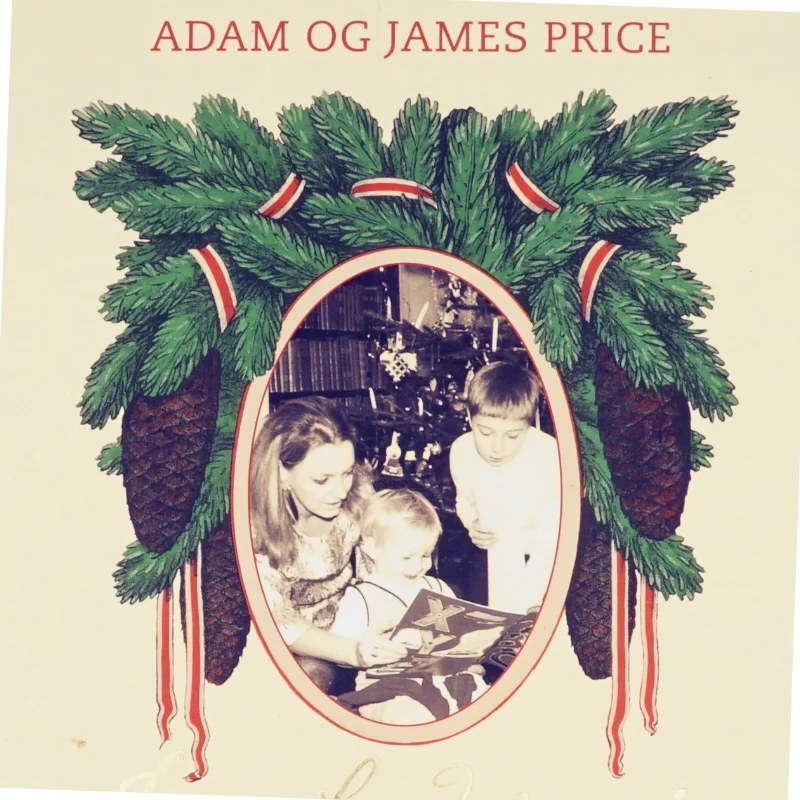 Jeg glæder mig i denne tid - af James Price, Adam Price (Bog)