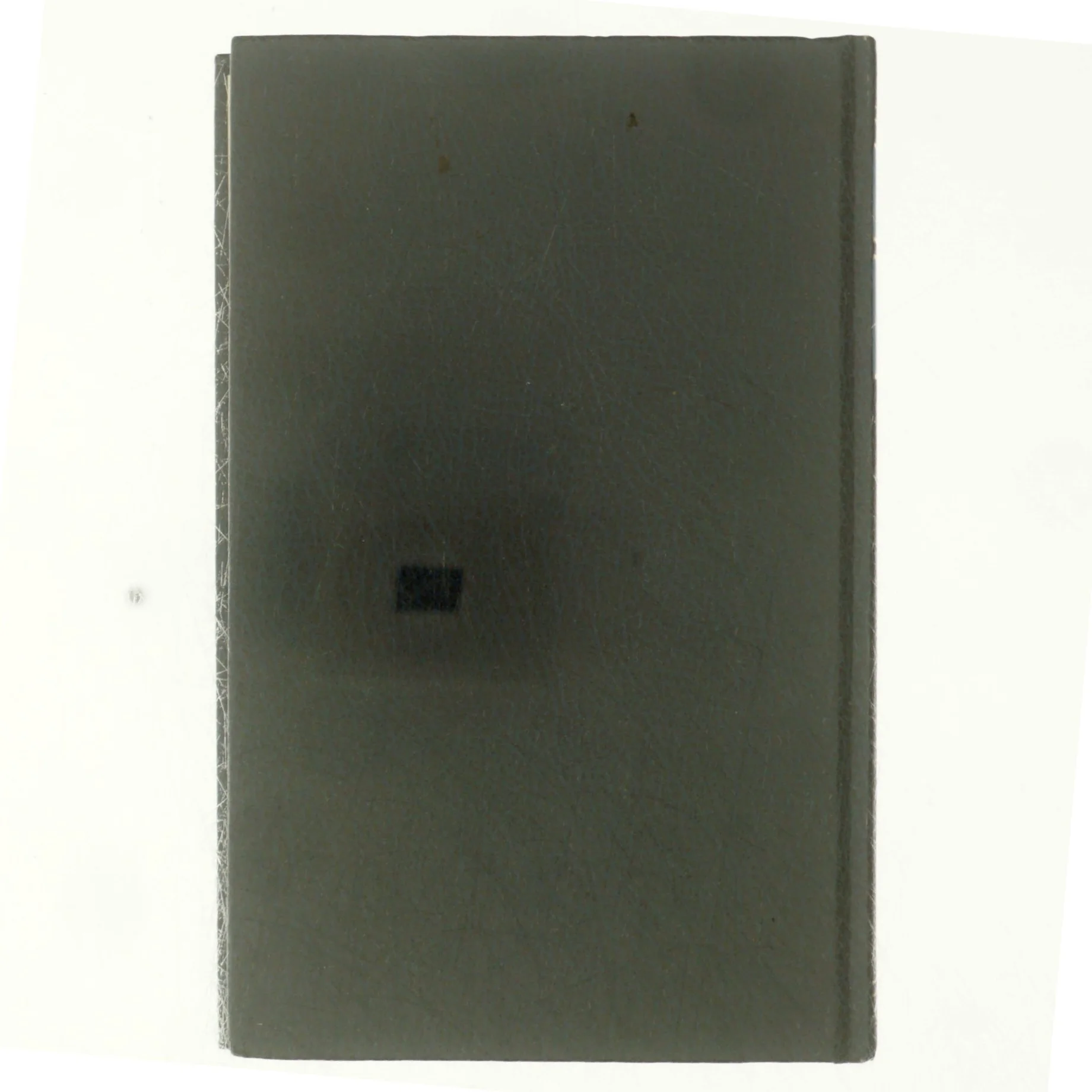 Et barn forsvinder, Mary Napier