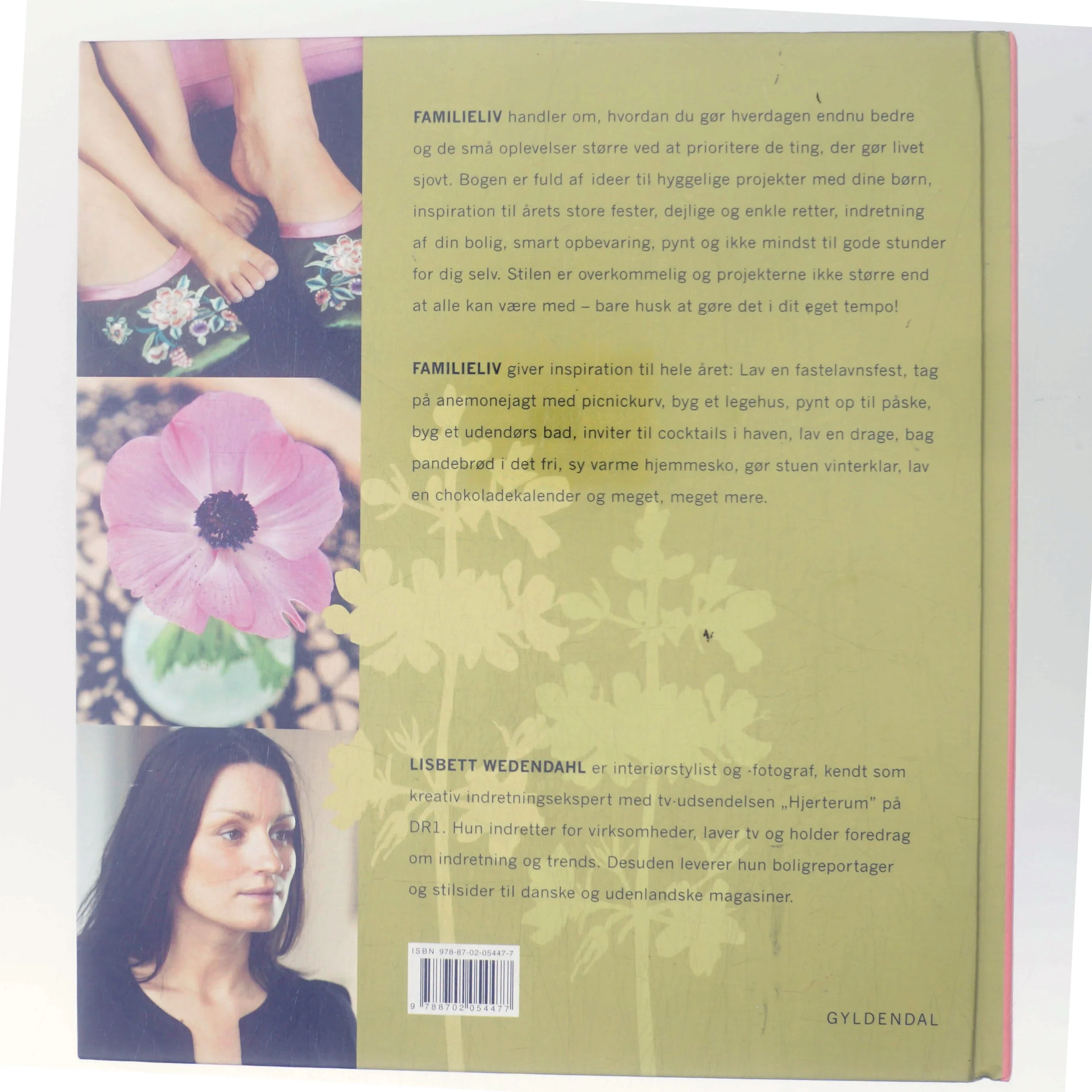 Familieliv: Aktiviteter og boligideer for store og små af Lisbett Wedendahl