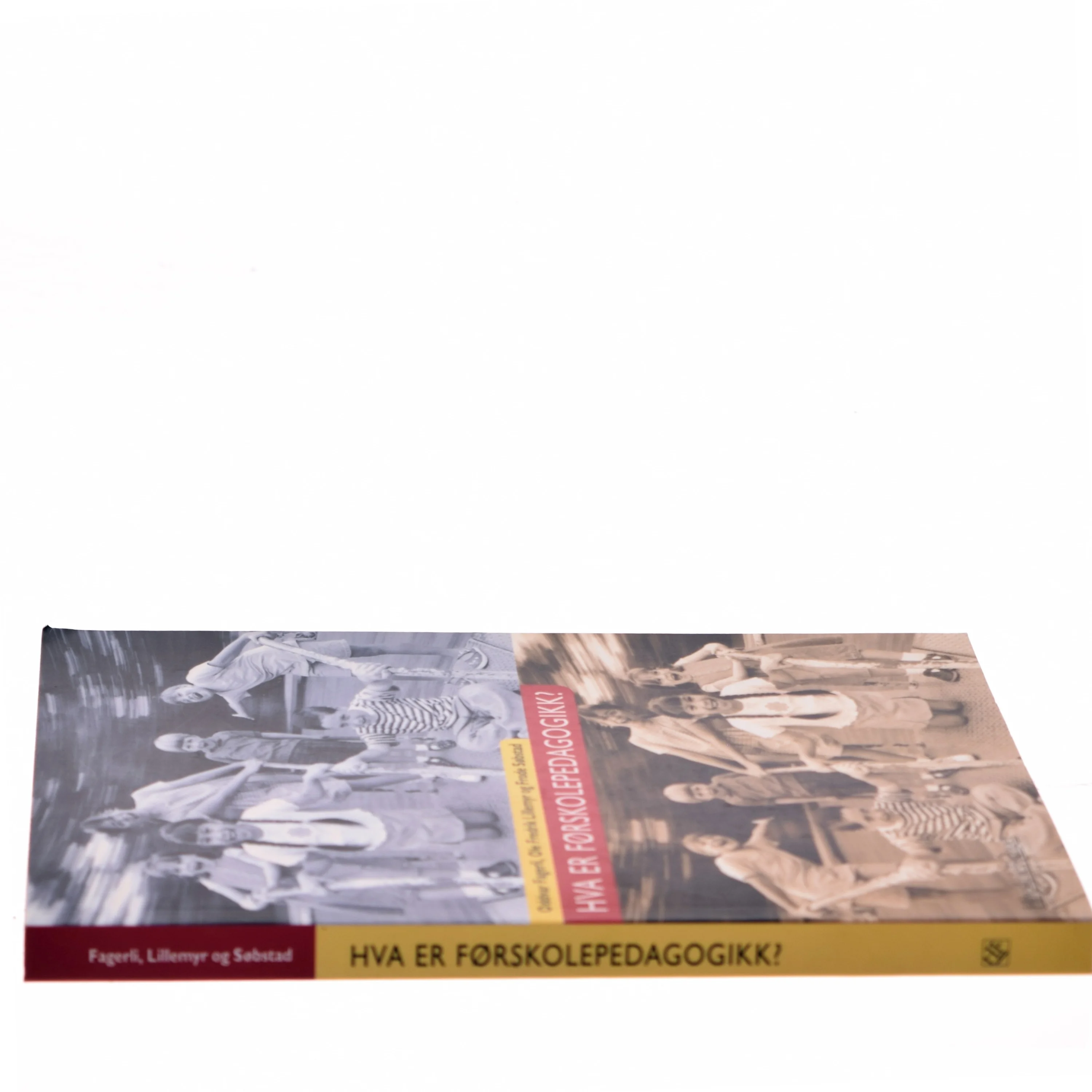 Hva er førskolepedagogikk? (Bog)