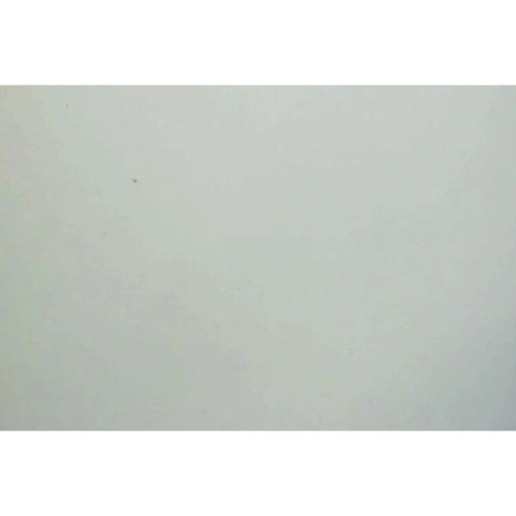 Dyrebar : Zoologisk Have og Kunstnerne (Bog)