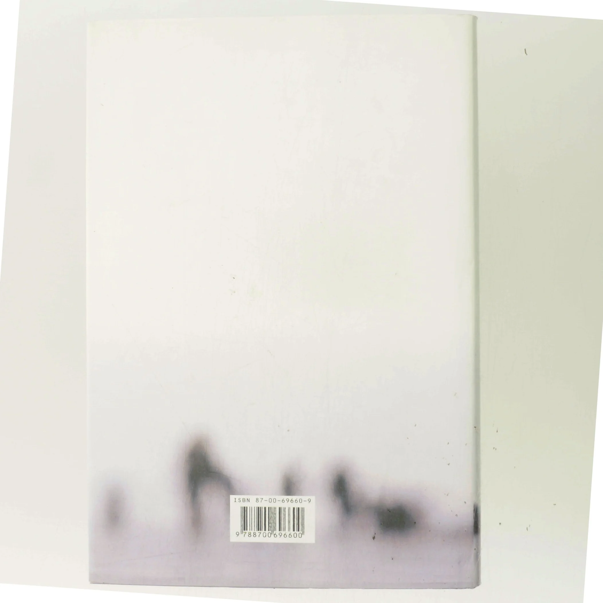 Kronprinsessen : roman af Hanne-Vibeke Holst (Bog)