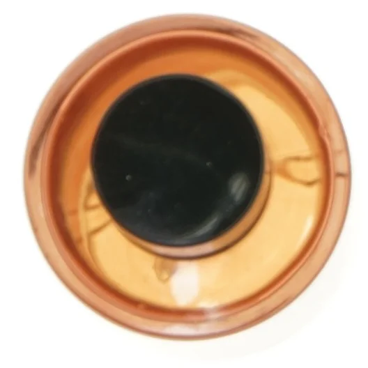 Tonka Wood Eau de Toilette fra Zara Home (str. 10,5 cm)