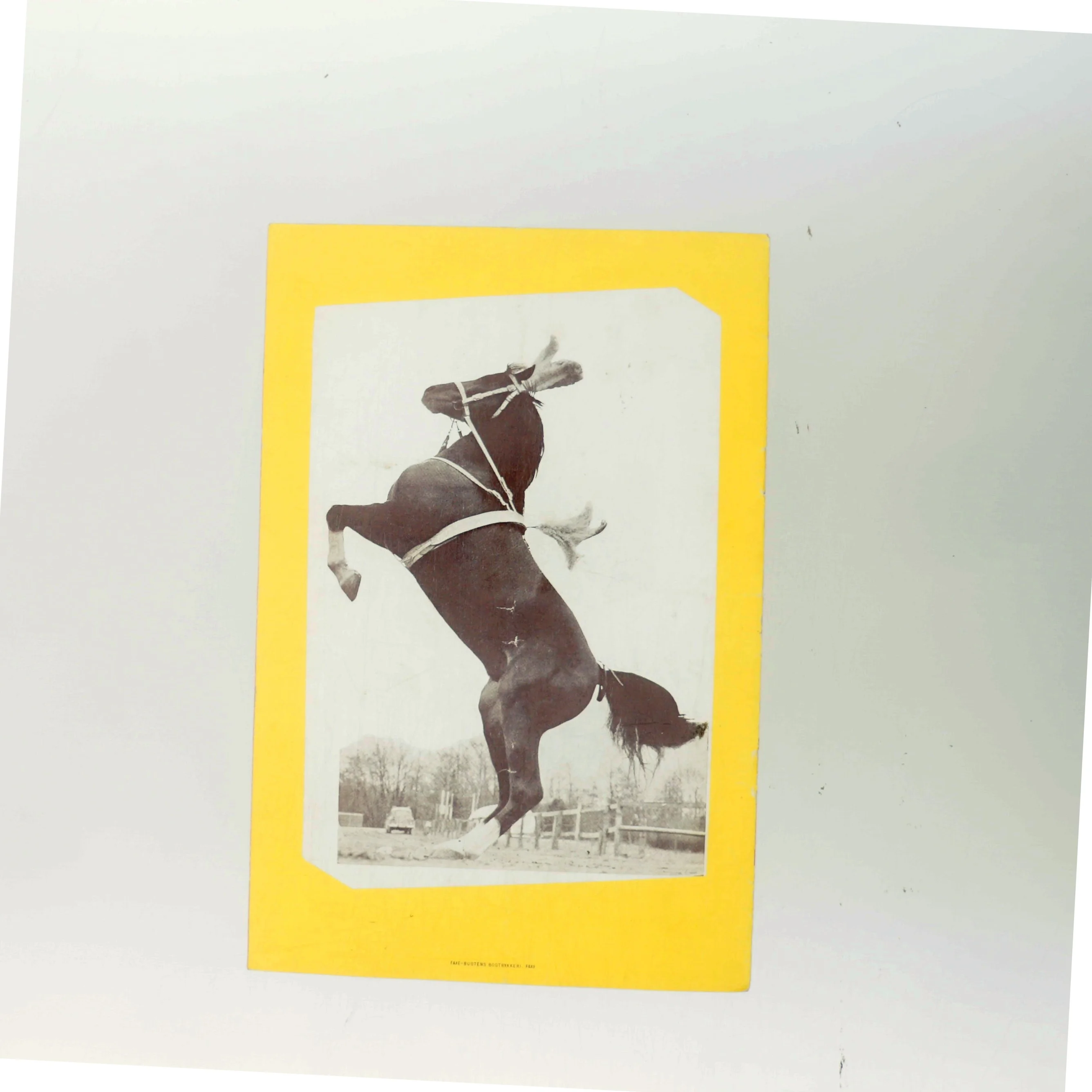 Benneweis Nordens Største Cirkus program