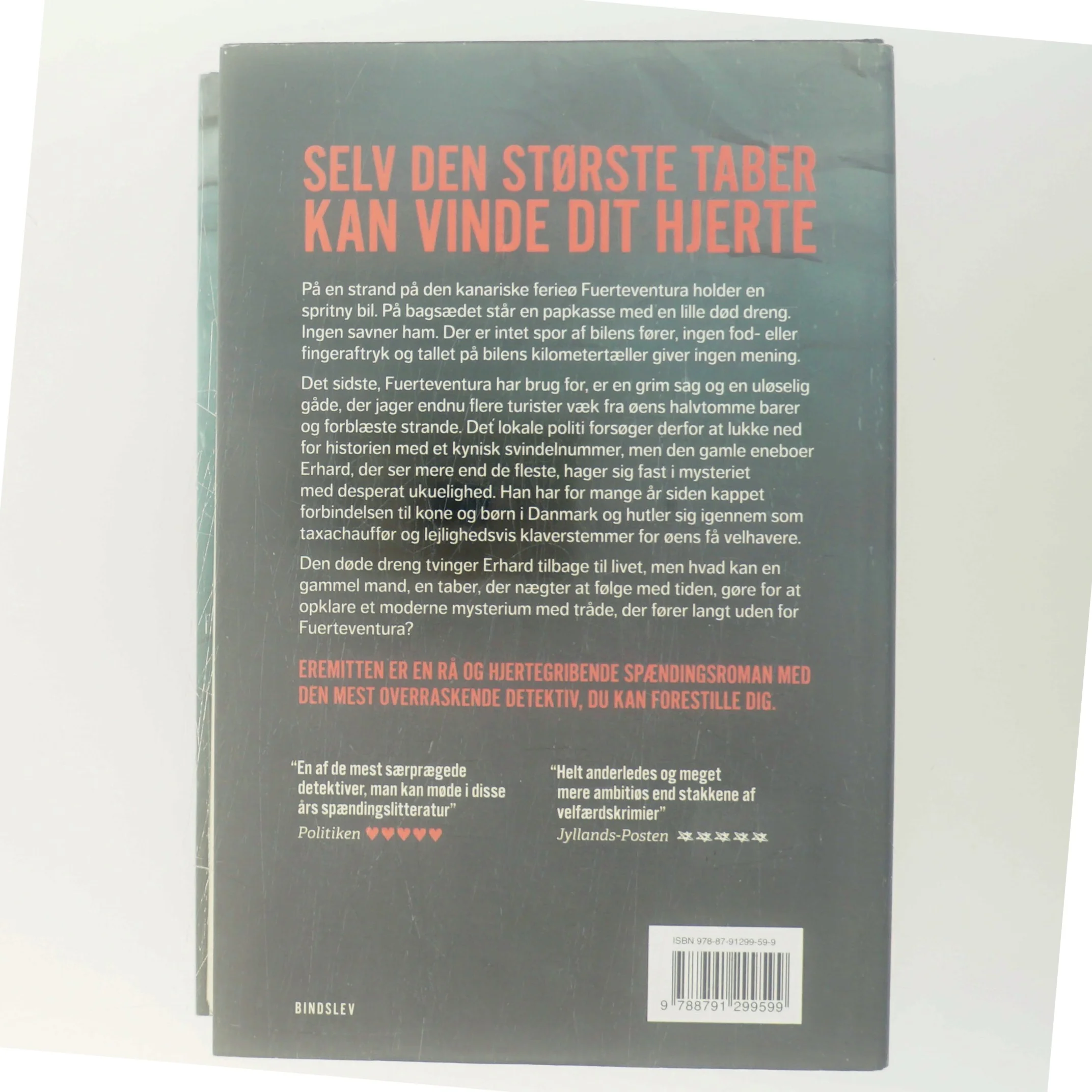 Eremitten af Thomas Rydahl (Bog)