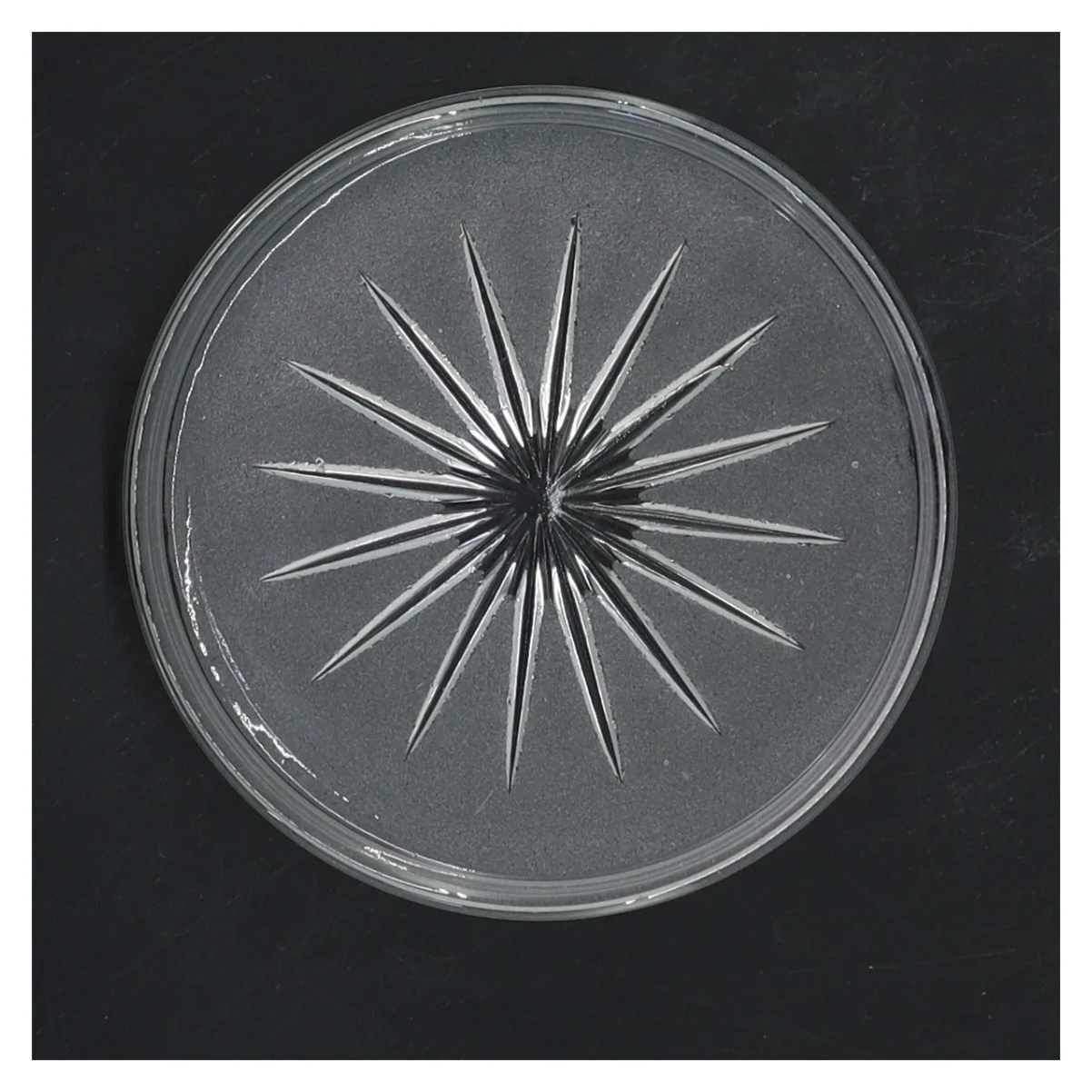 Rund glasaskebæger med stjernemønster (str. Ø 10 cm)