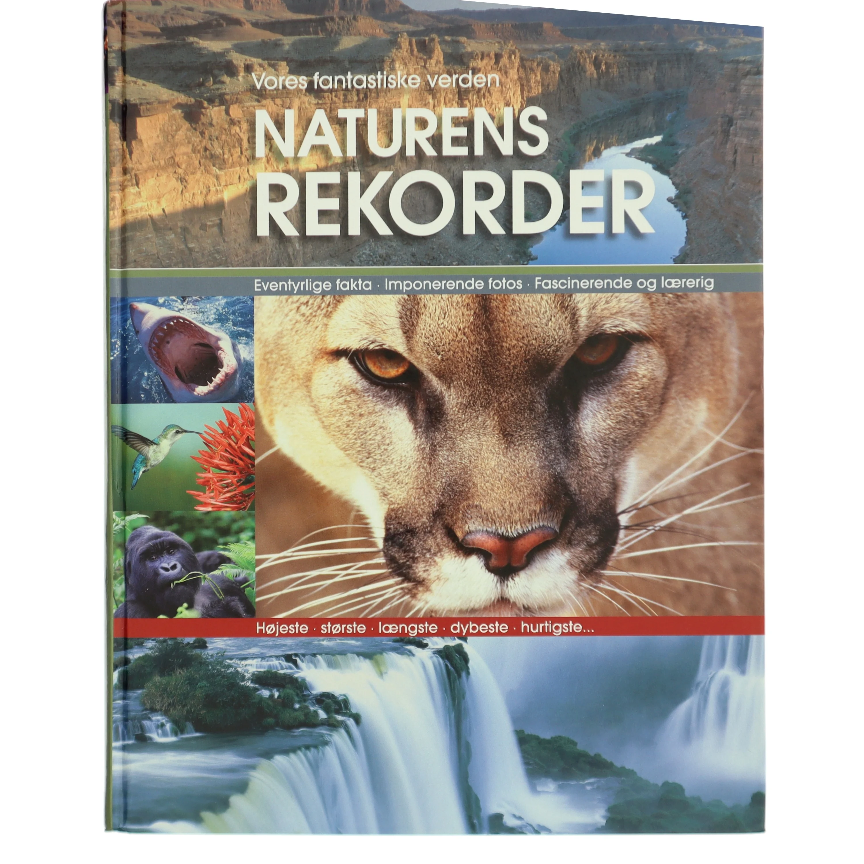 Naturens rekorder : terra maxima : vores fantastiske verden (Bog)
