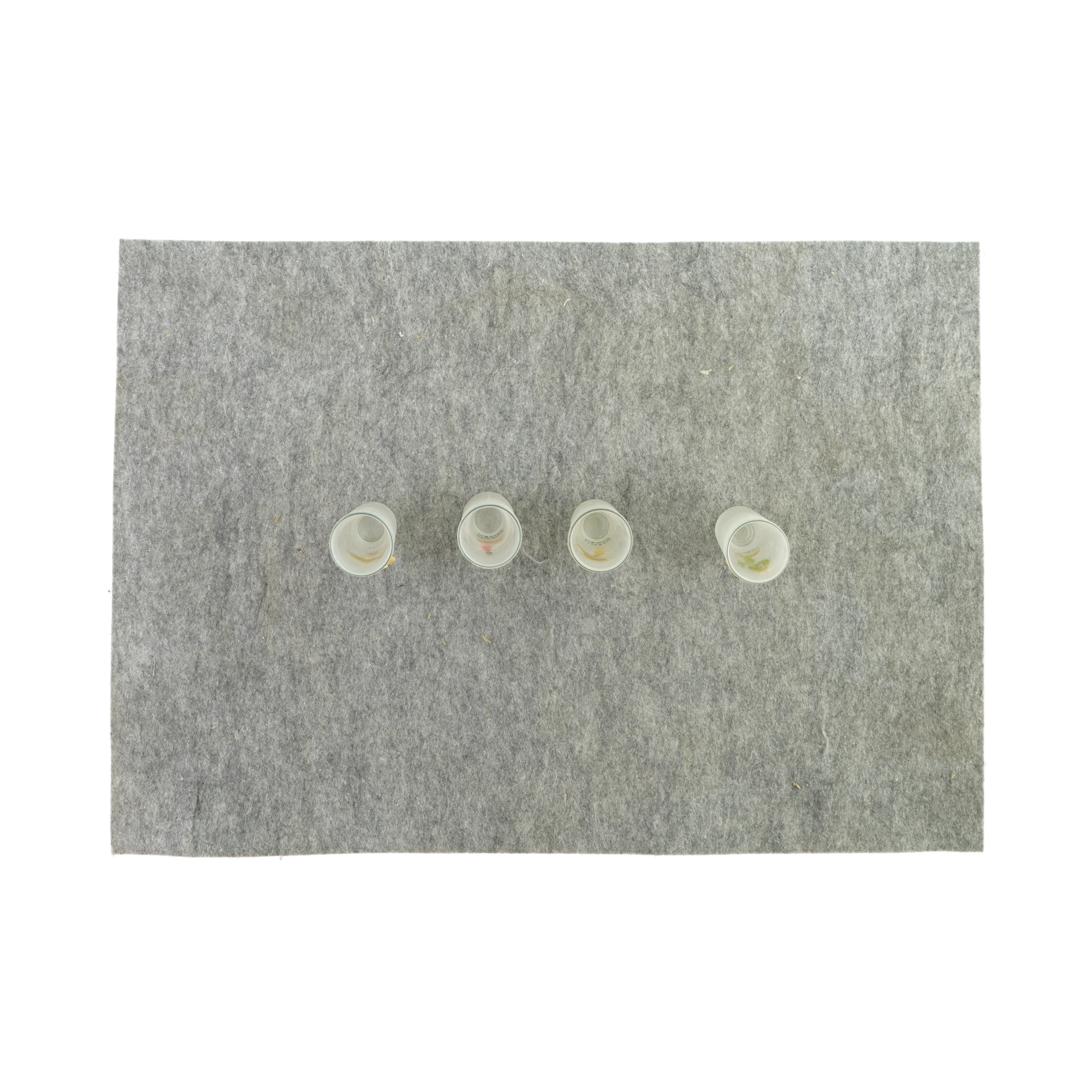 Shotsglas med motiv (str. HØ: 11x4 cm )