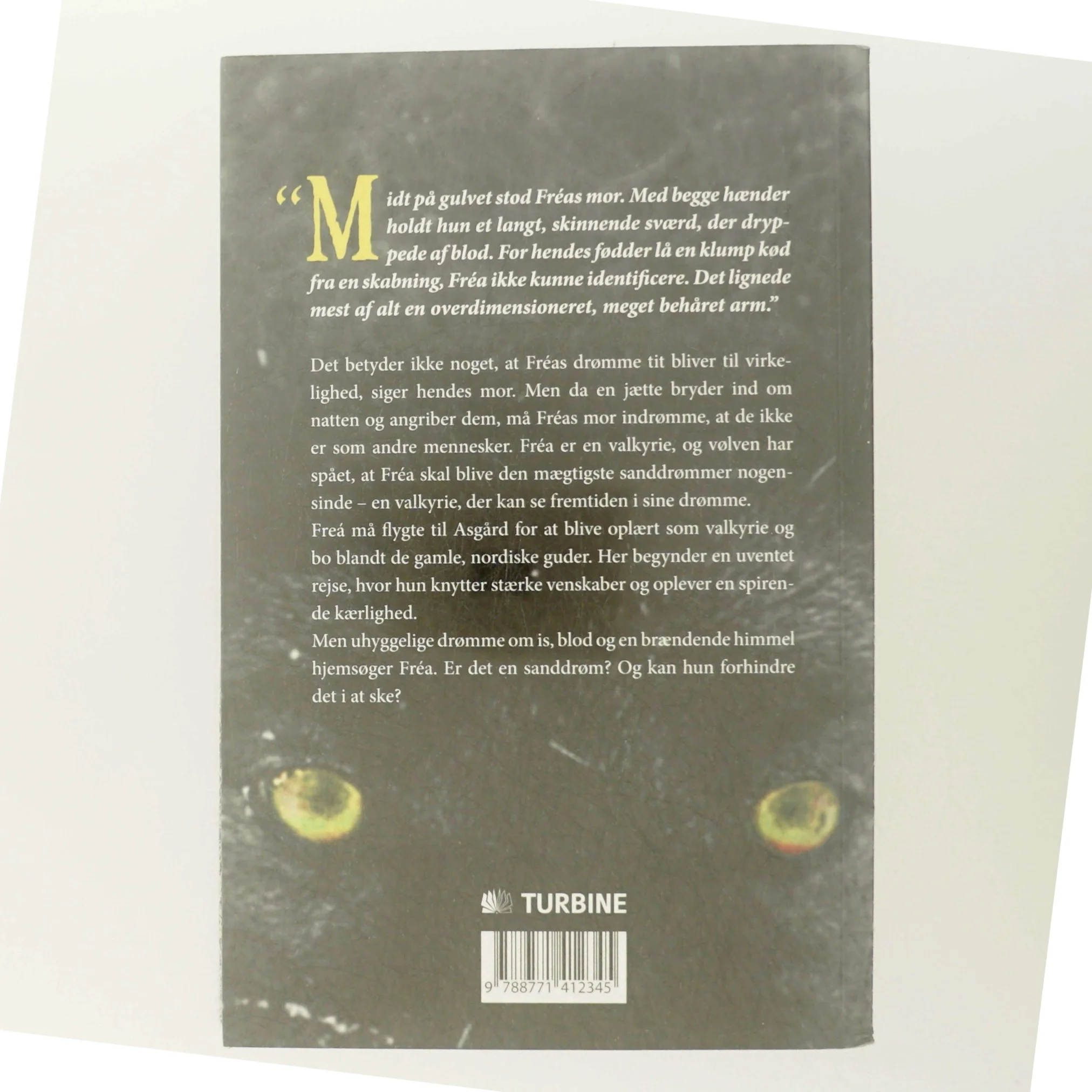 Sanddrømmeren af Sidsel Katrine Slej (Bog)