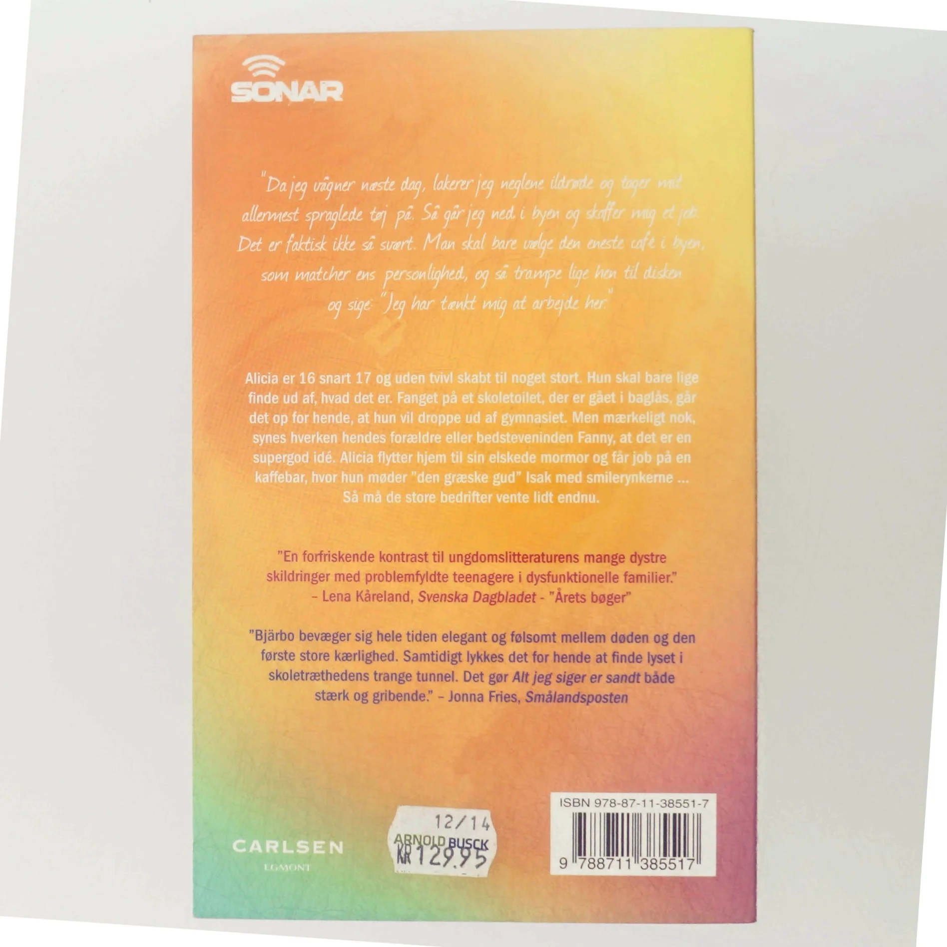 Alt jeg siger er sandt af Lisa Bjärbo (Bog)