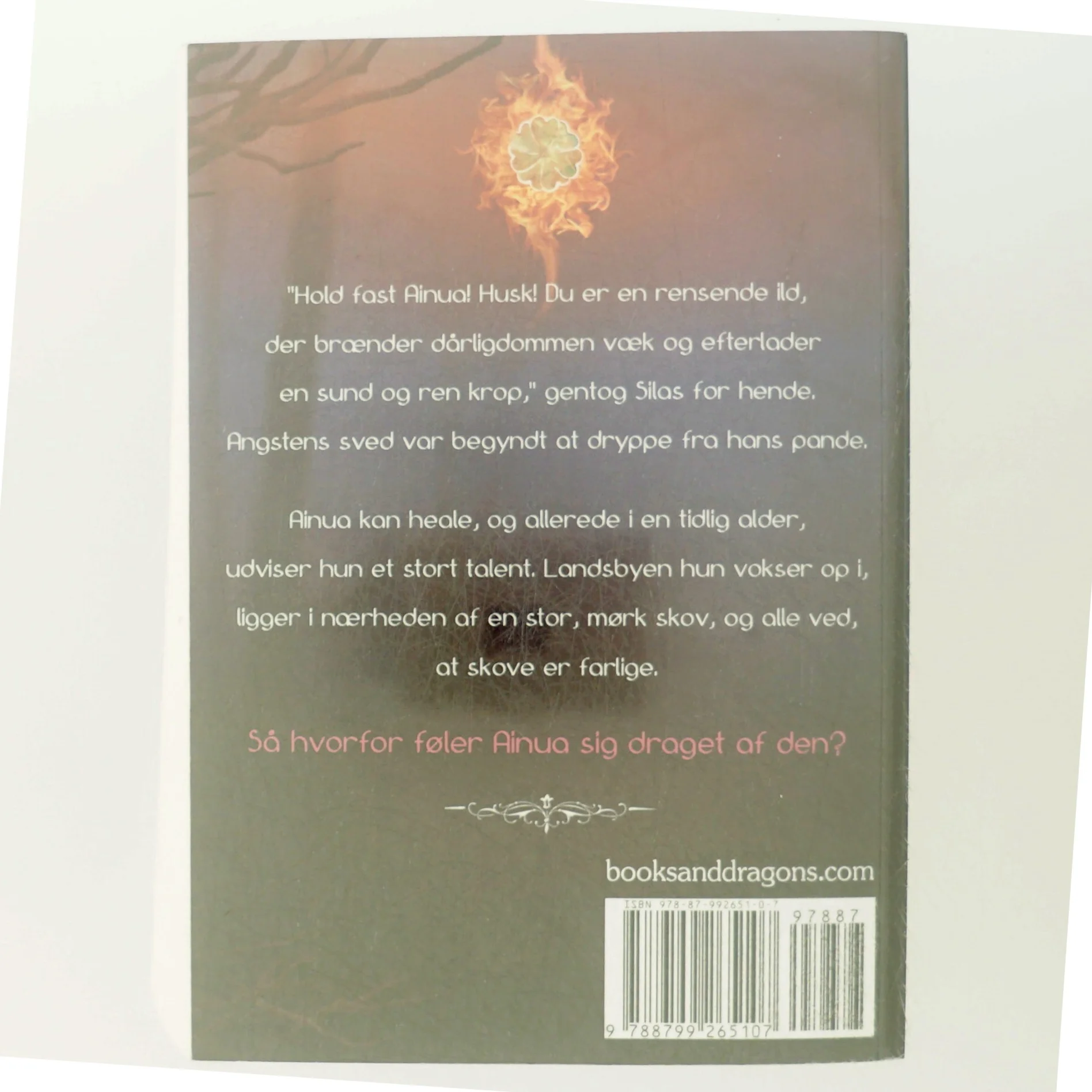 Ildens flamme af Catharina Kjelgaard Vedel-Smith (Bog)