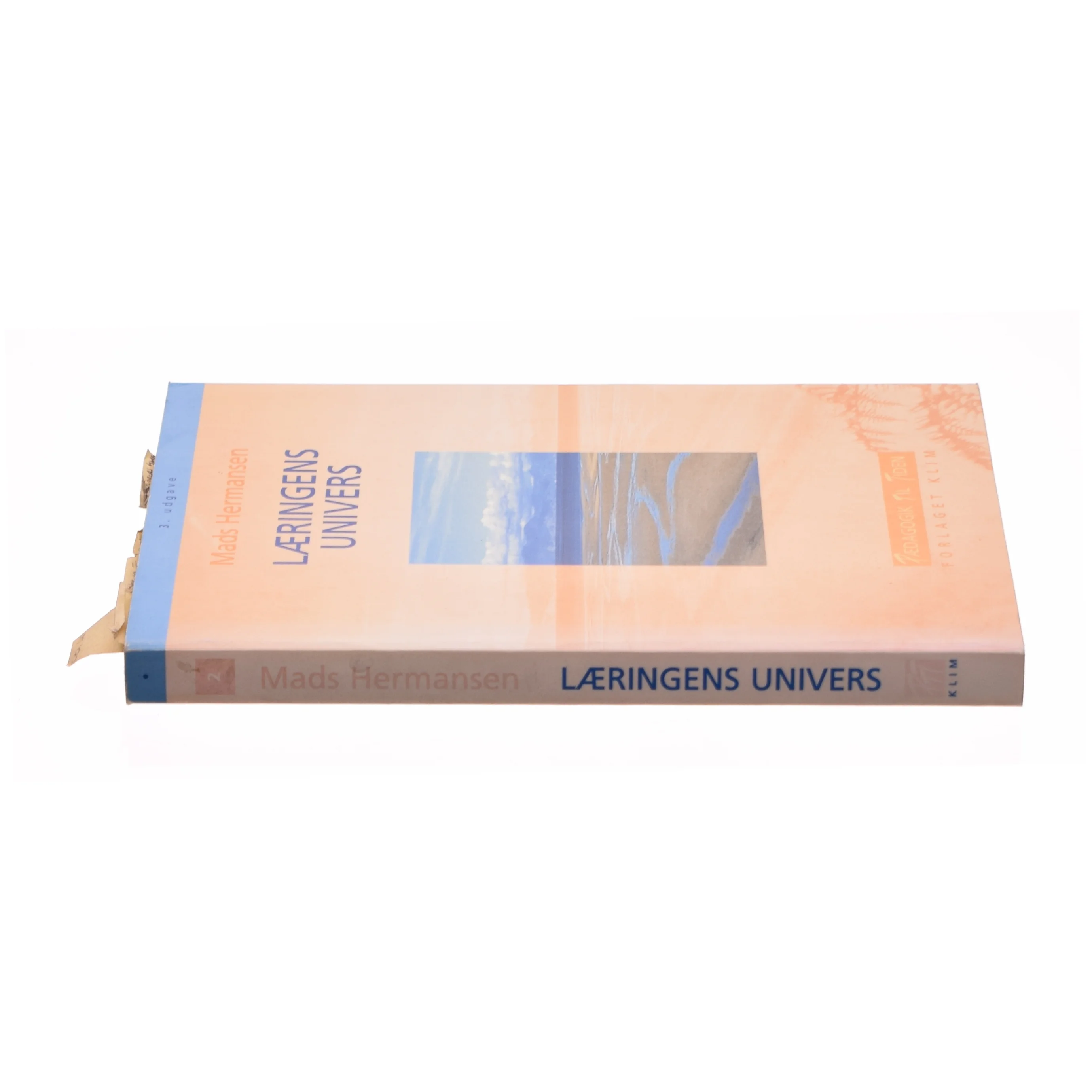 Læringens univers af Mads Hermansen (f. 1946) (Bog)