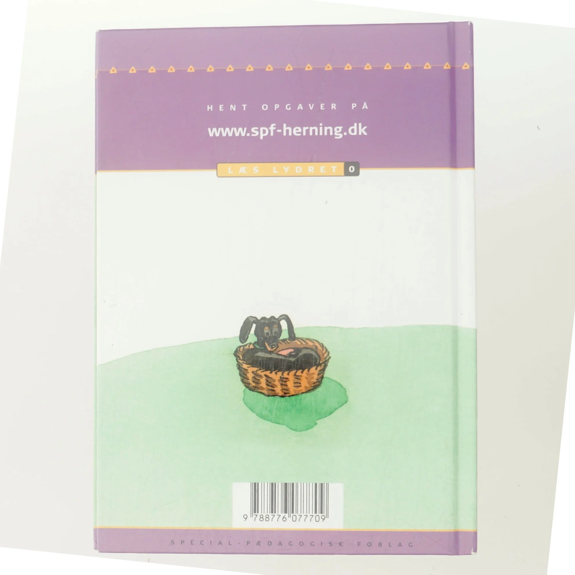 Pi, Jo og Bø af Randi Solvang (Bog)