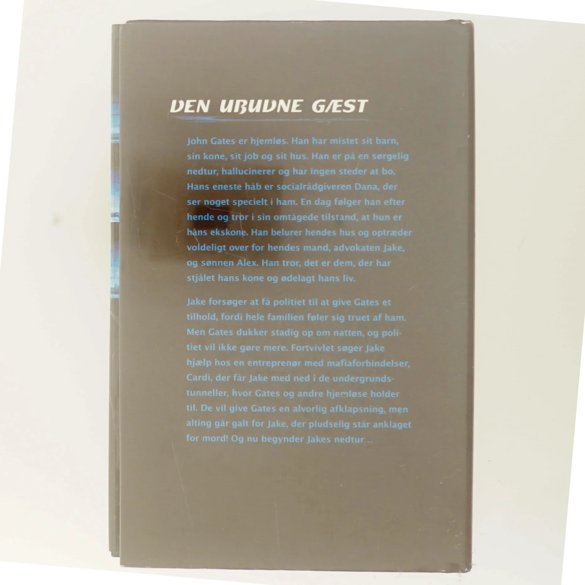 Den Ubudne Gæst af Peter Blauner (Bog)