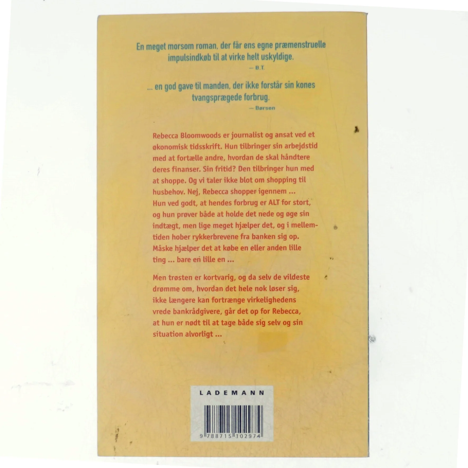 En shopaholics hemmelige drømmeverden af Sophie Kinsella (Bog)