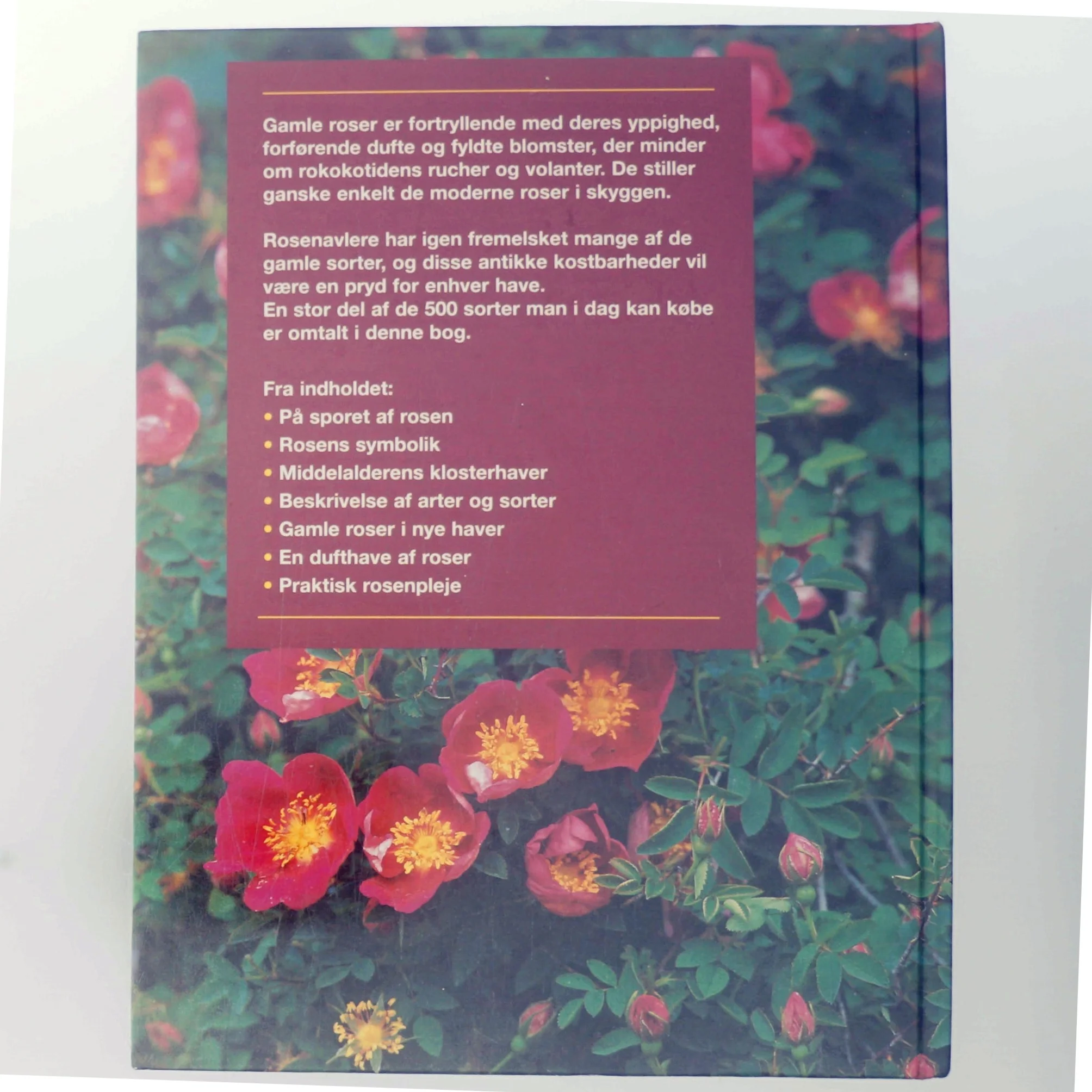 Gammeldags Roser af Ilse Höger-Orthner (Bog)