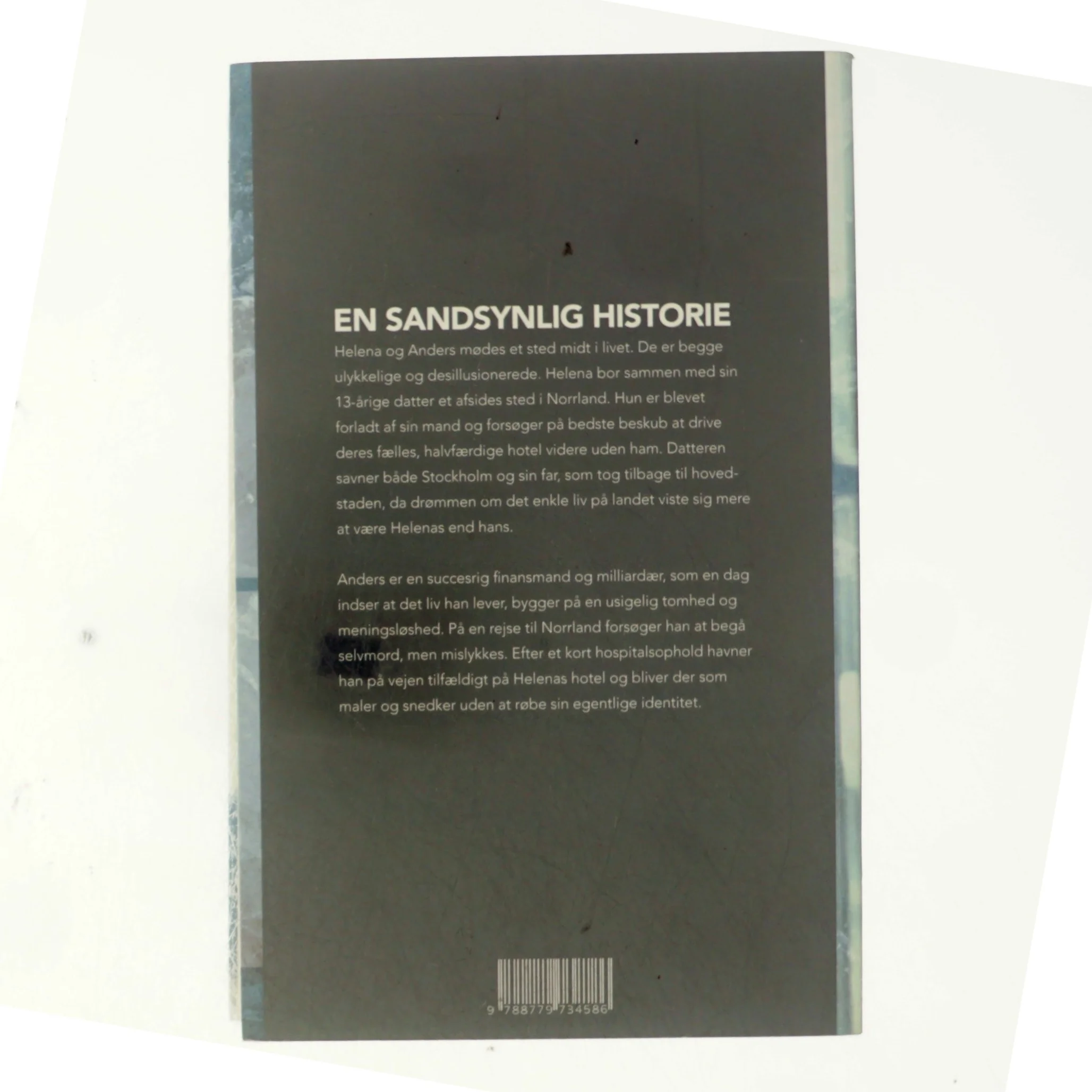 En sandsynlig historie af Karin Alvtegen