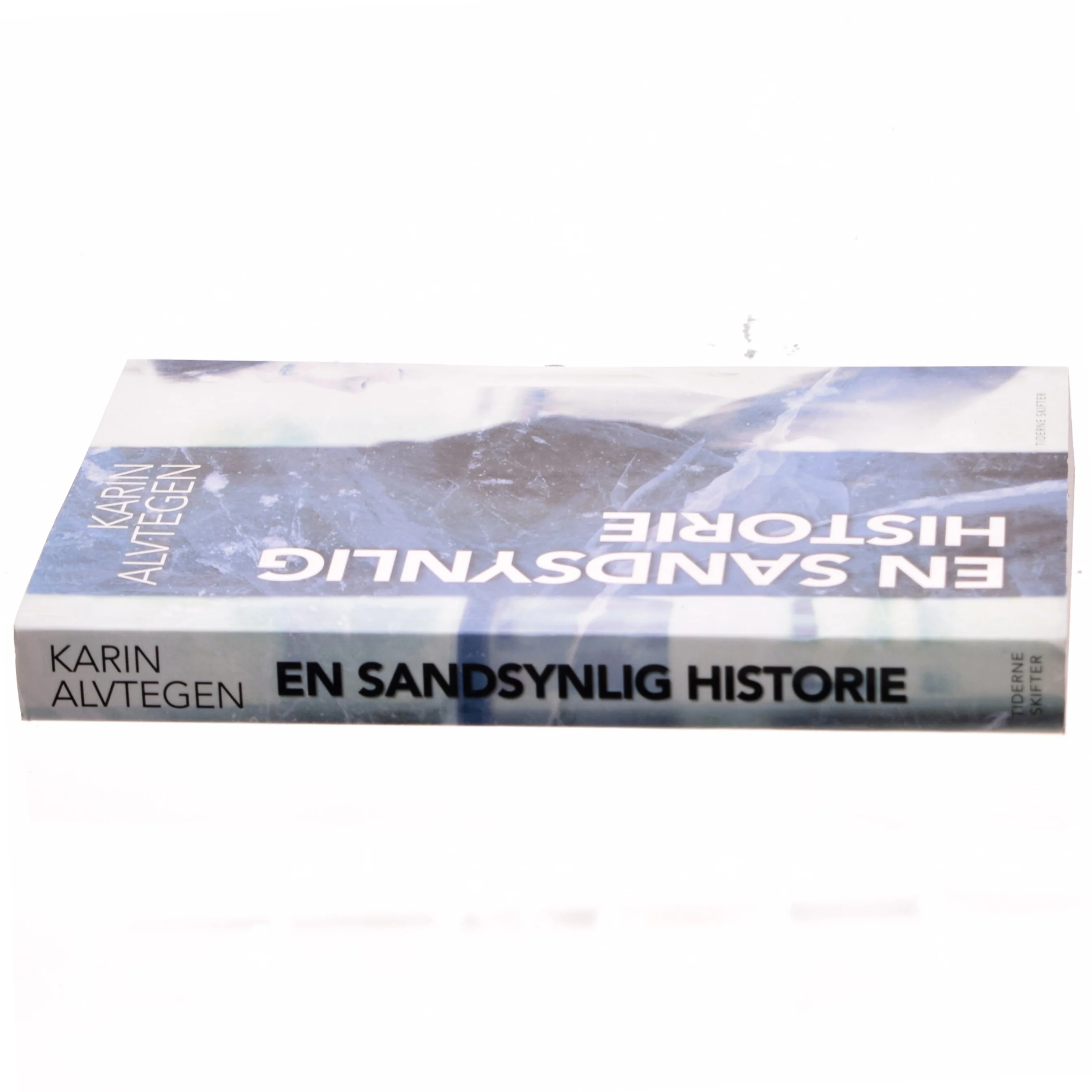 En sandsynlig historie af Karin Alvtegen