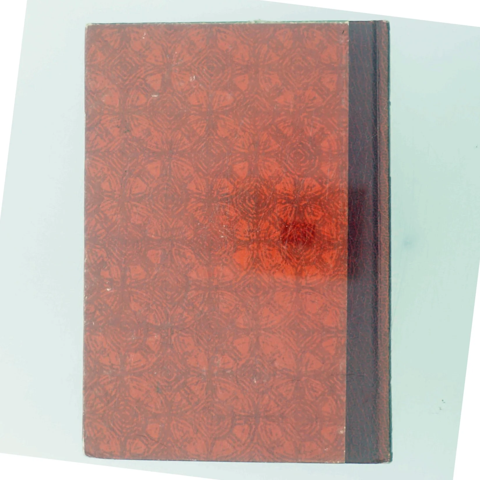 Pelikan notatet af John Grisham (Bog)