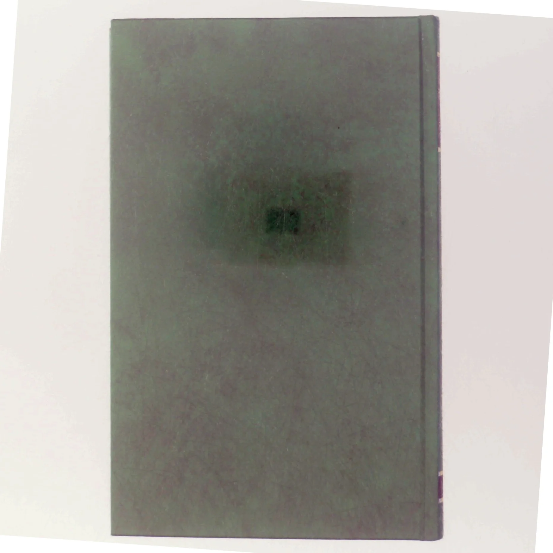 'Piratfiskene' af Harold Robbins (bog)