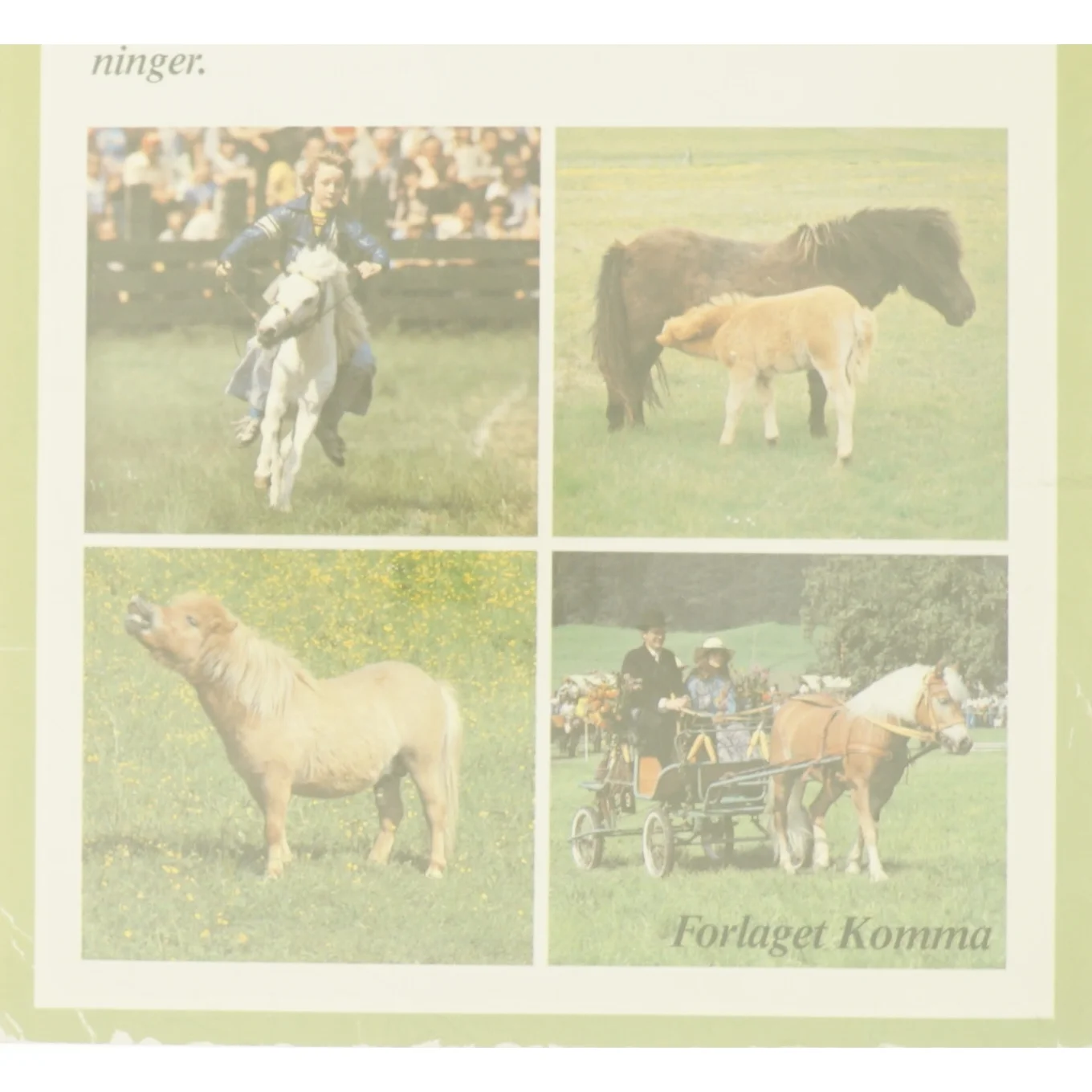 Ponyer af Herta F. Kraupa-Tuskany fra Bog