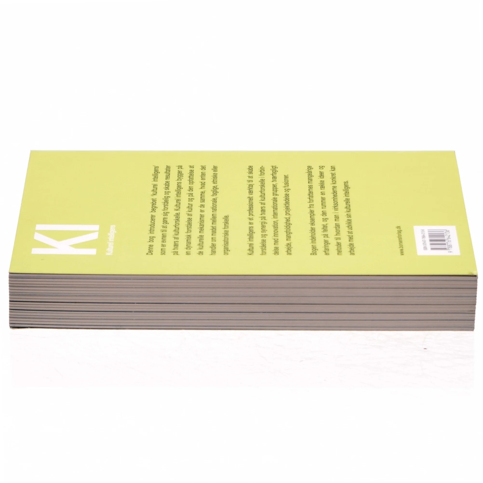 KI - kulturel intelligens af Elisabeth Plum (Bog)