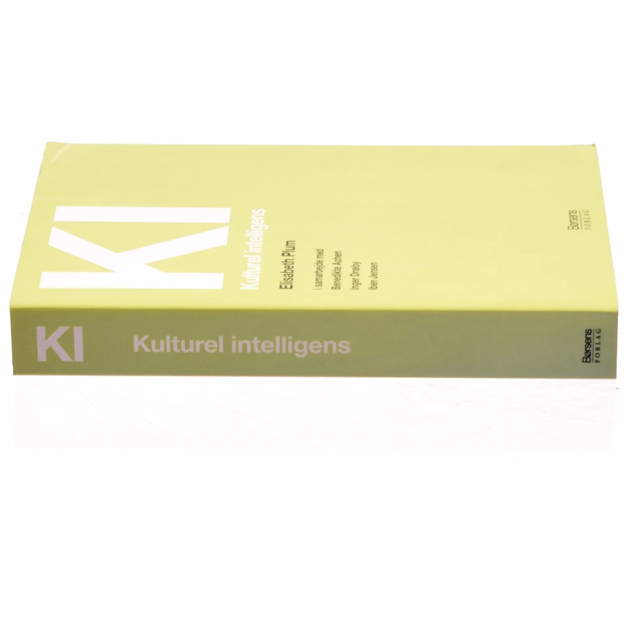 KI - kulturel intelligens af Elisabeth Plum (Bog)