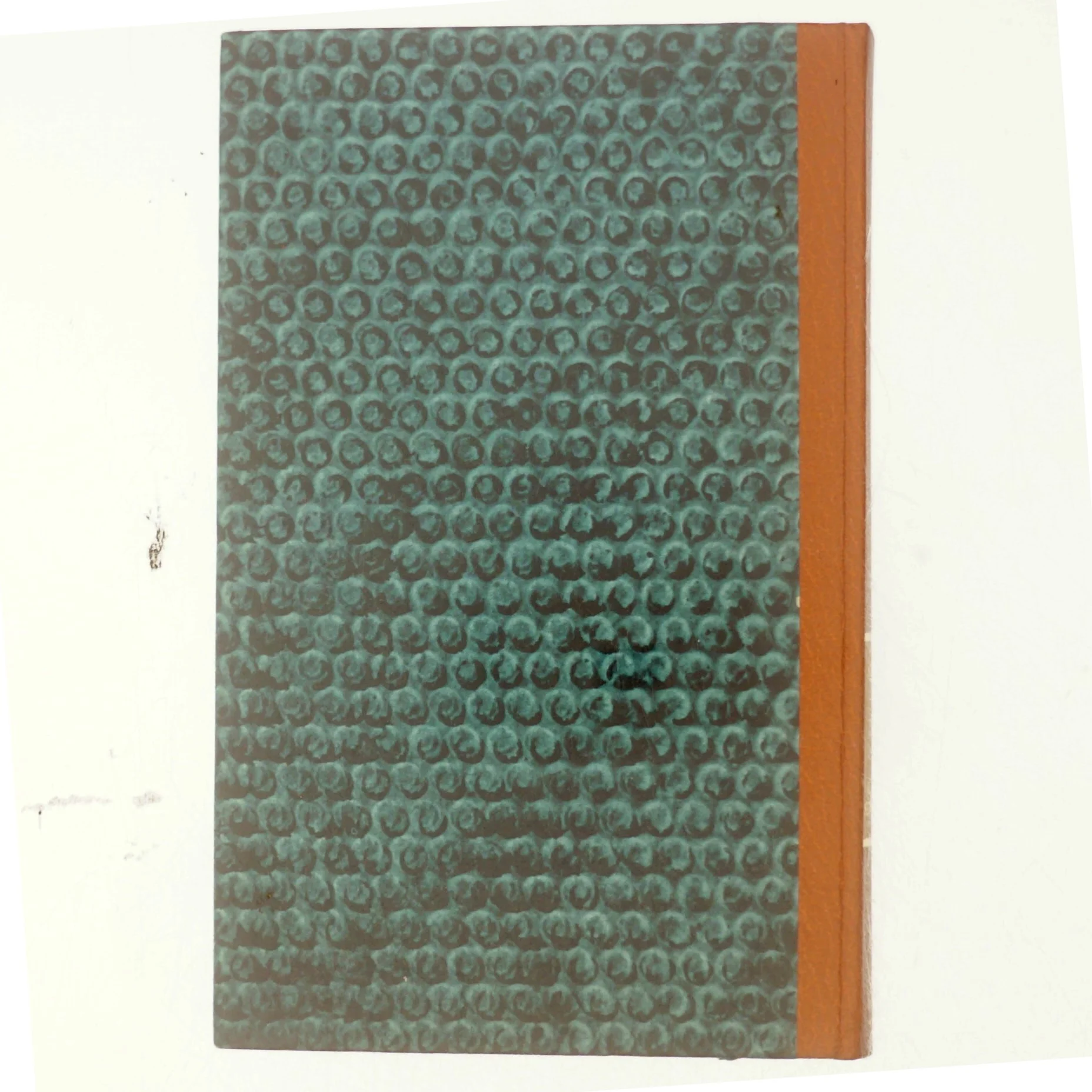 Charles Portis, Ben i næsen