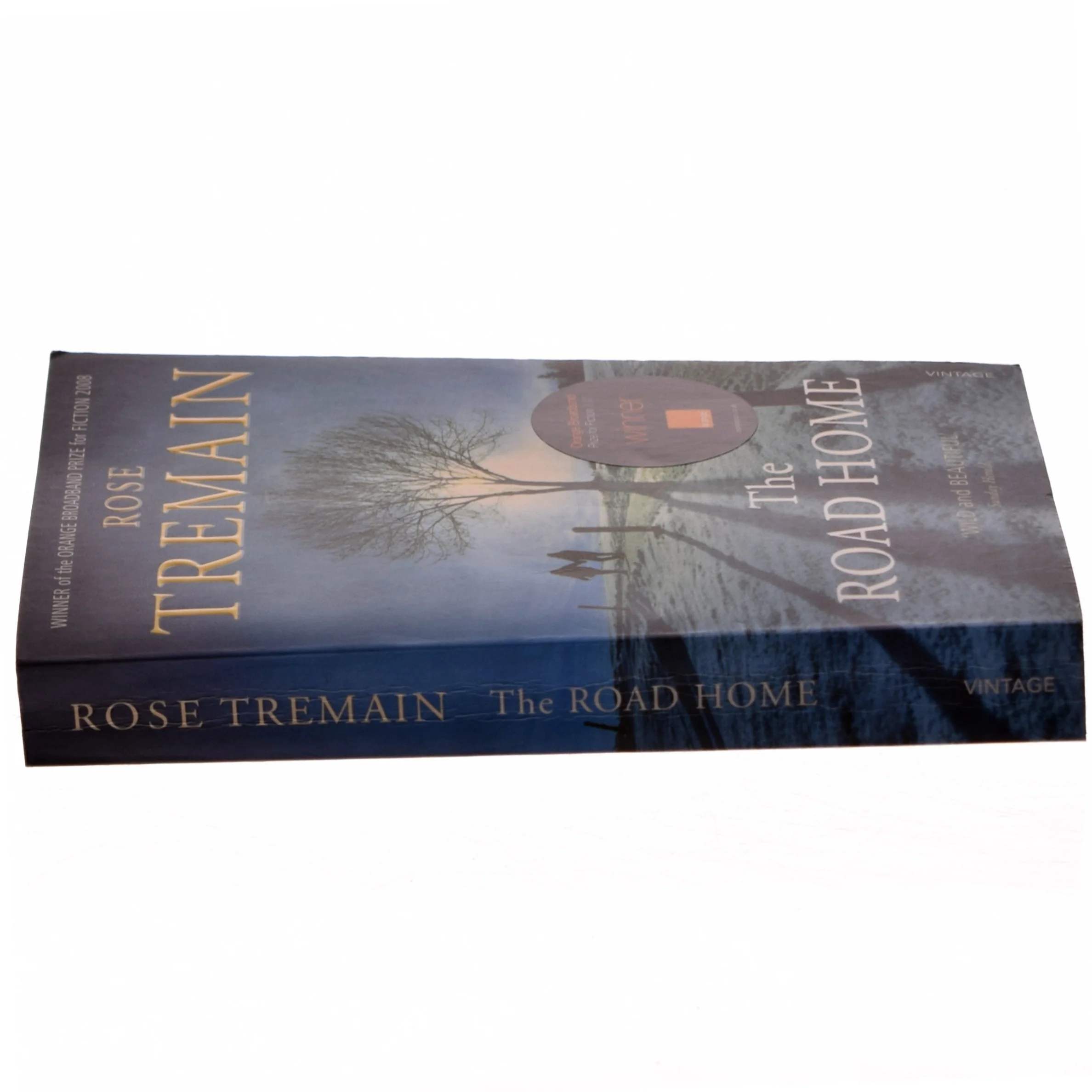 The road home af Rose Tremain (Bog)