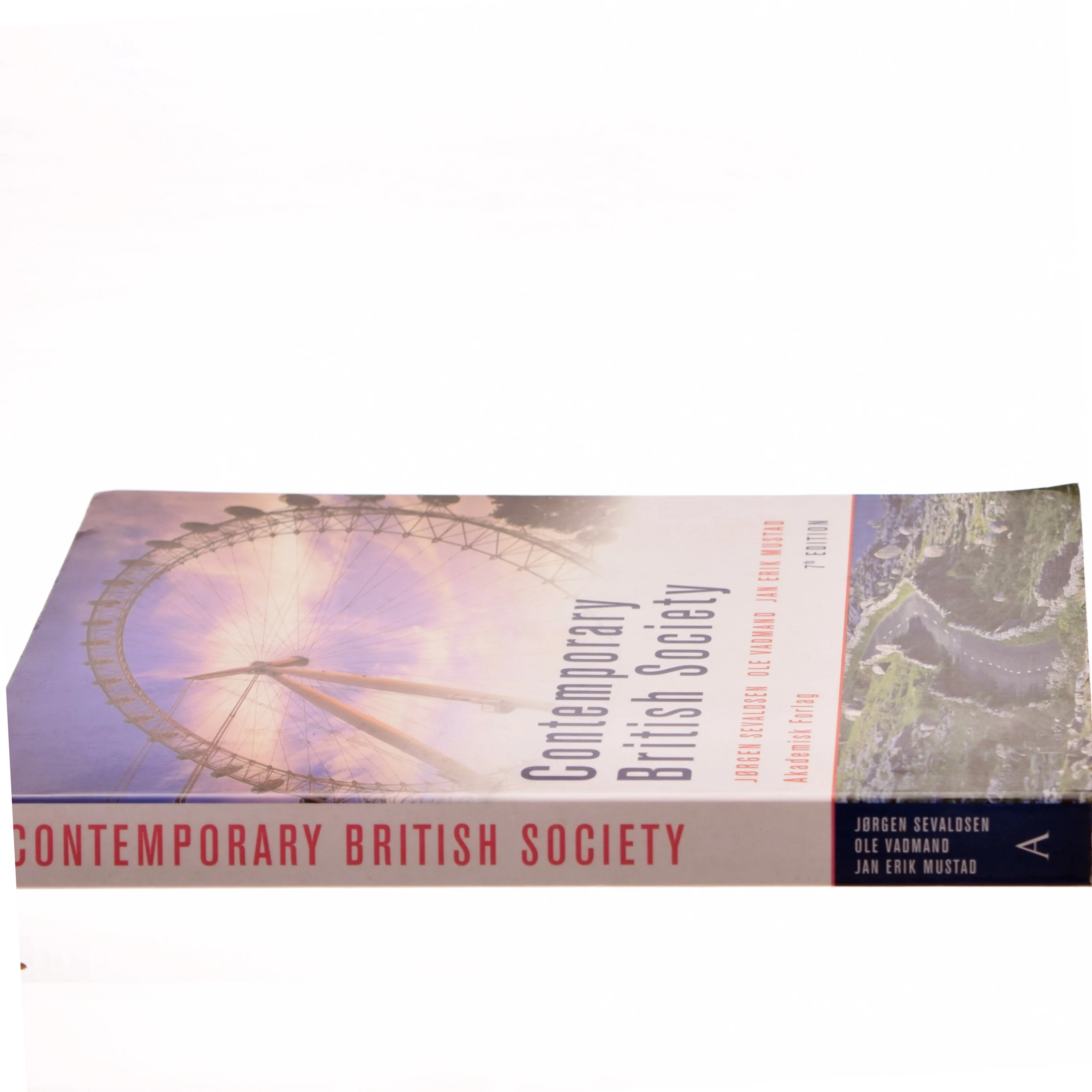 Contemporary British society (Bog)