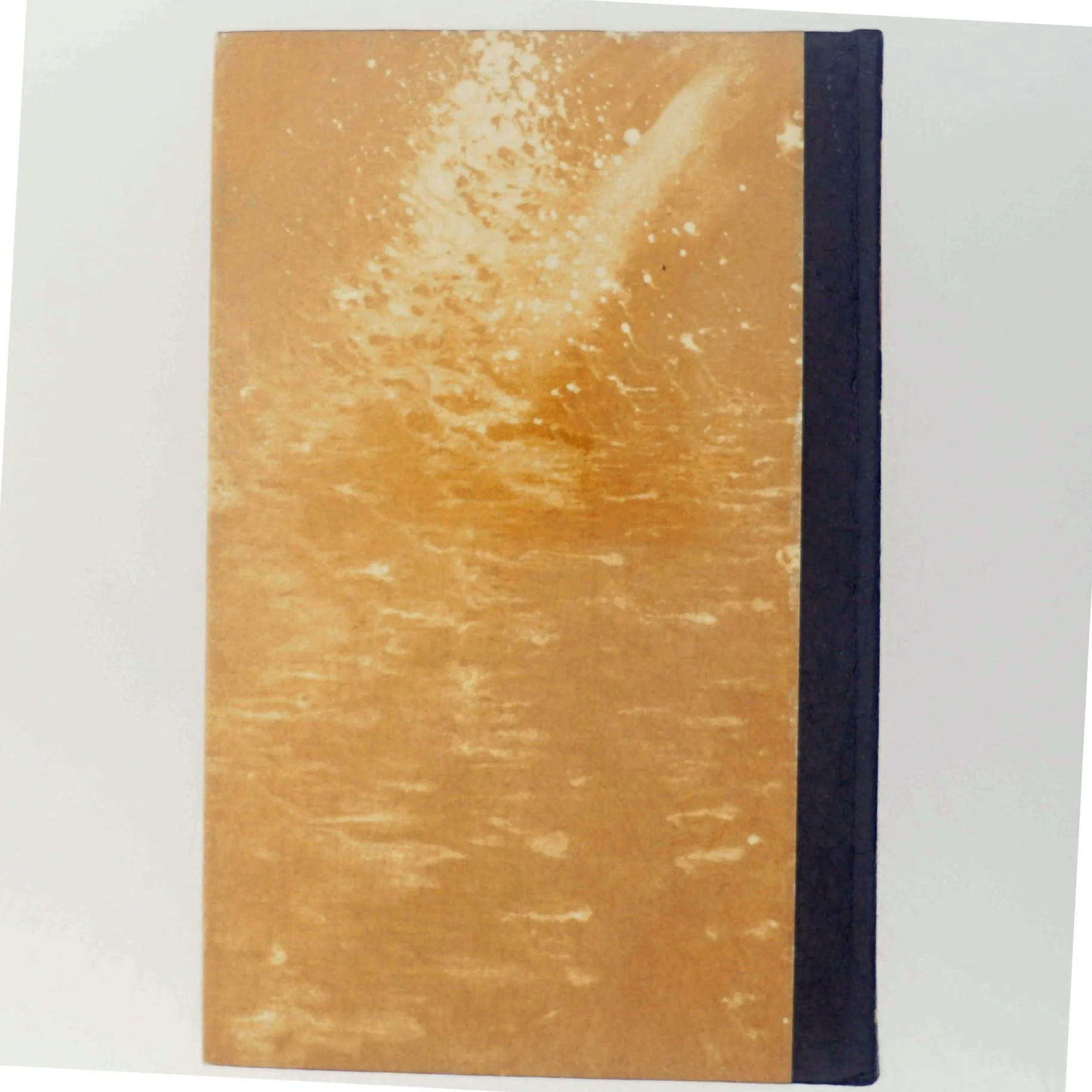 'Protesu' af Morris West (bog)