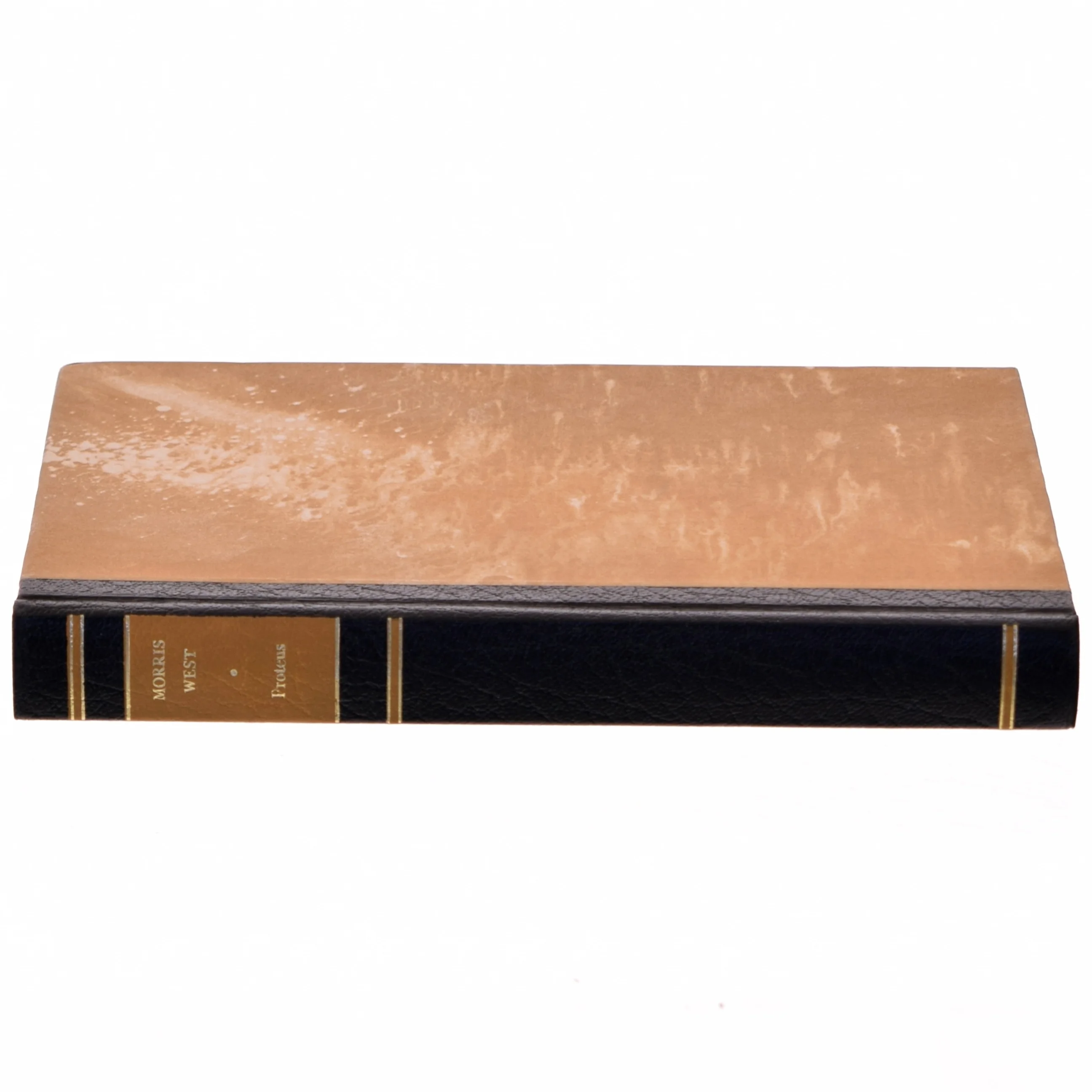 'Protesu' af Morris West (bog)