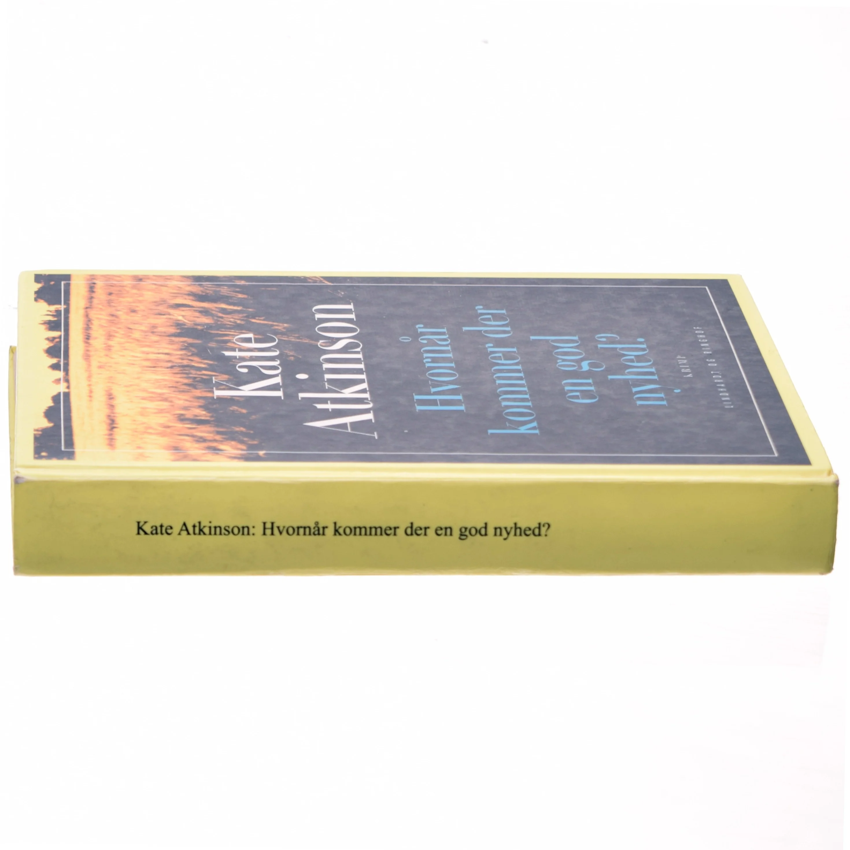 Kate Atkinson, Hvornår kommer der en god nyhed?