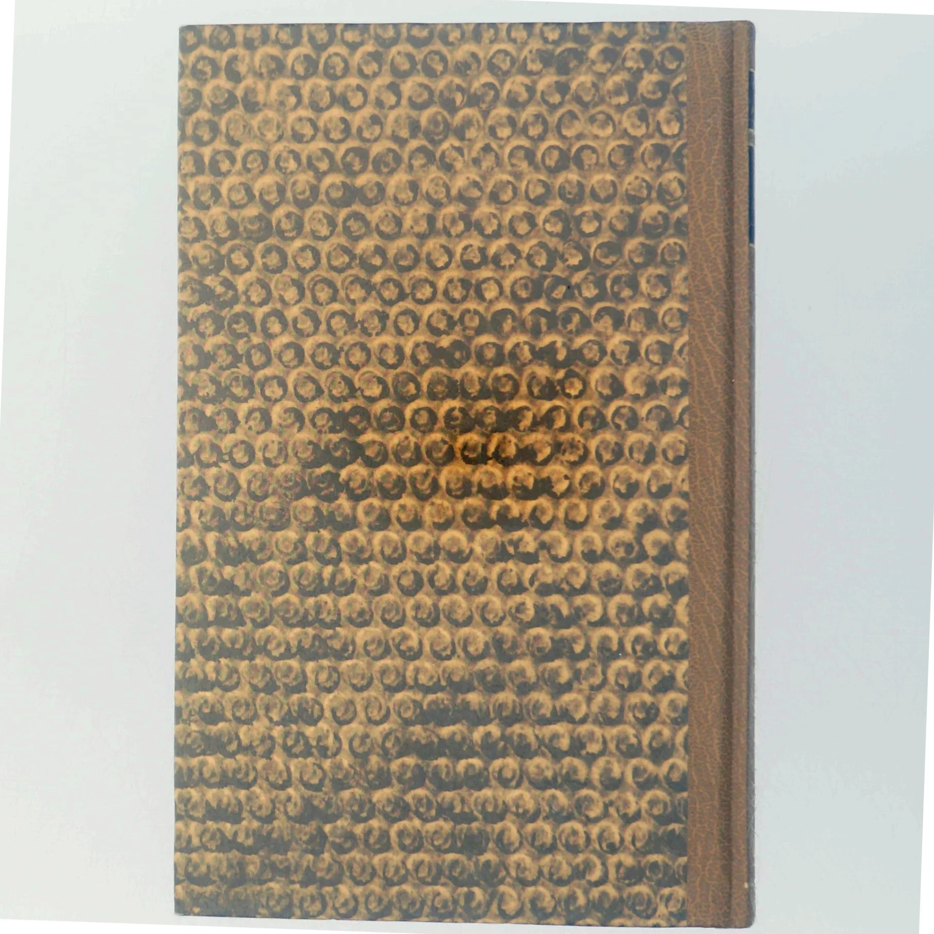 'Højt spil i Las Vegas' af David Anthony (bog)