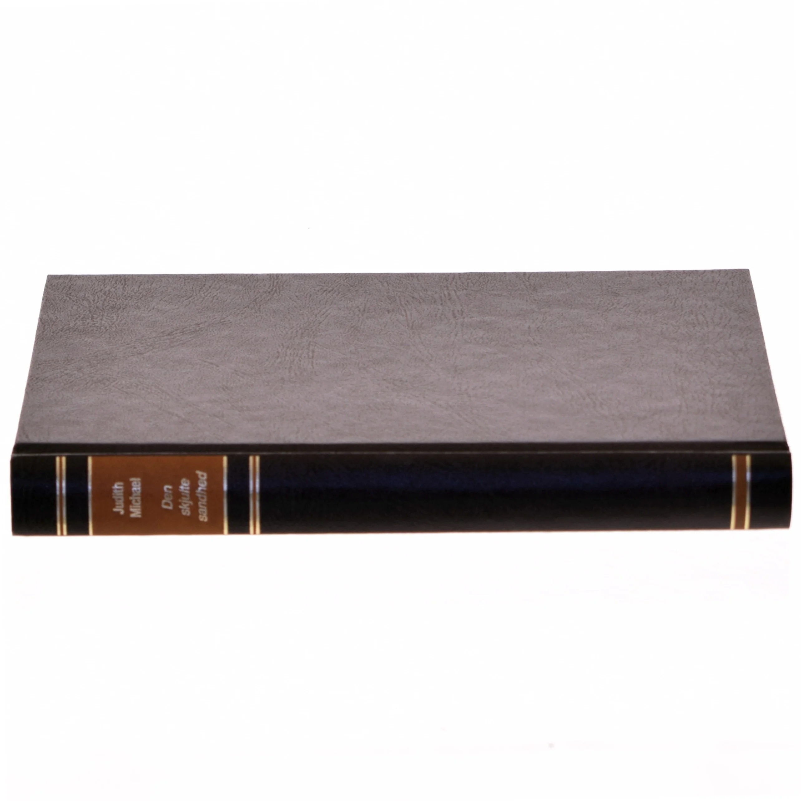 'Den skjulte sandhed' af Judith Michael (bog)