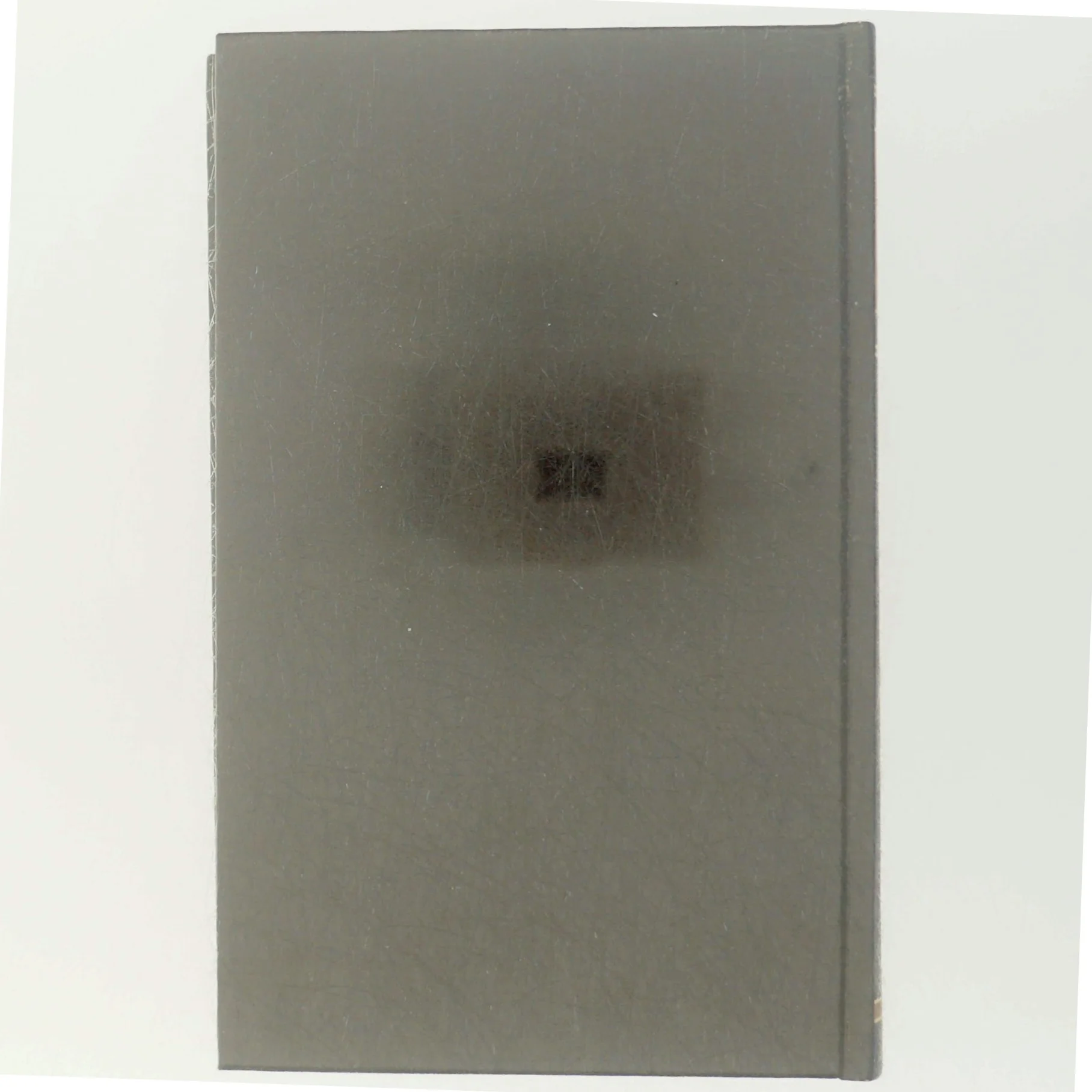 'Den skjulte sandhed' af Judith Michael (bog)