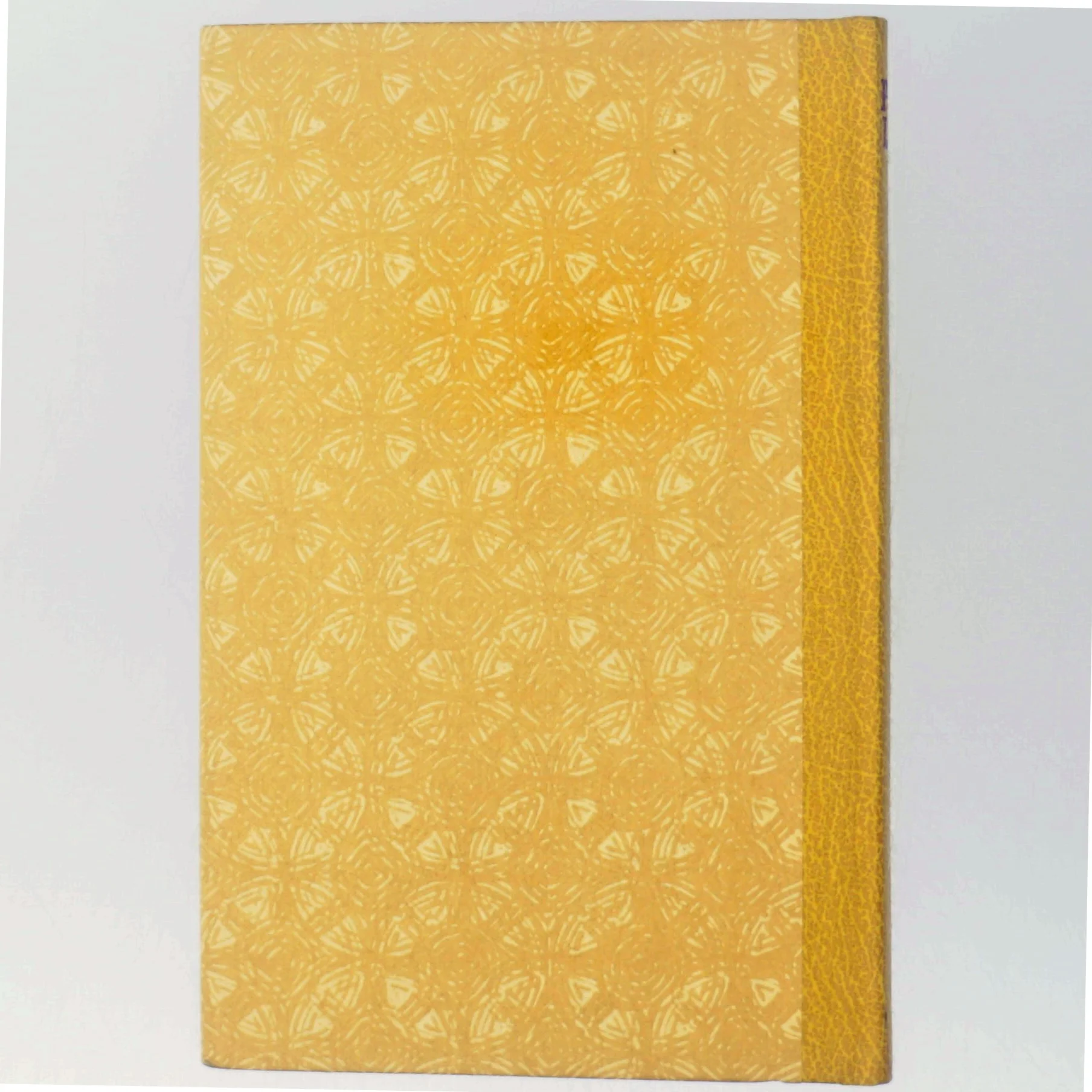 'GOLDENGIRL. MOSKVA 1980' af Peter Lear (bog)